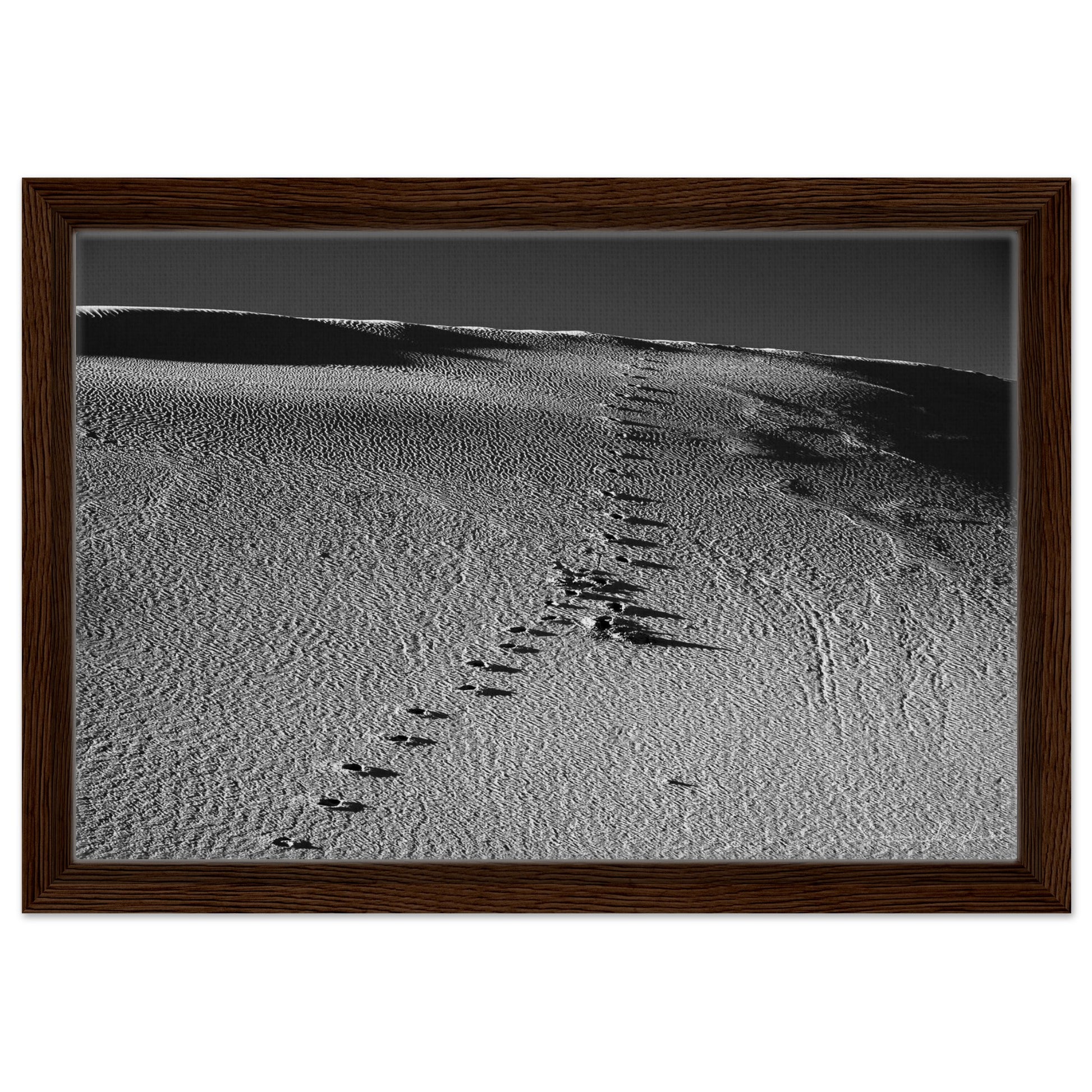 81d5ea05-b2de-4425-8ca3-e6f11d3d5569