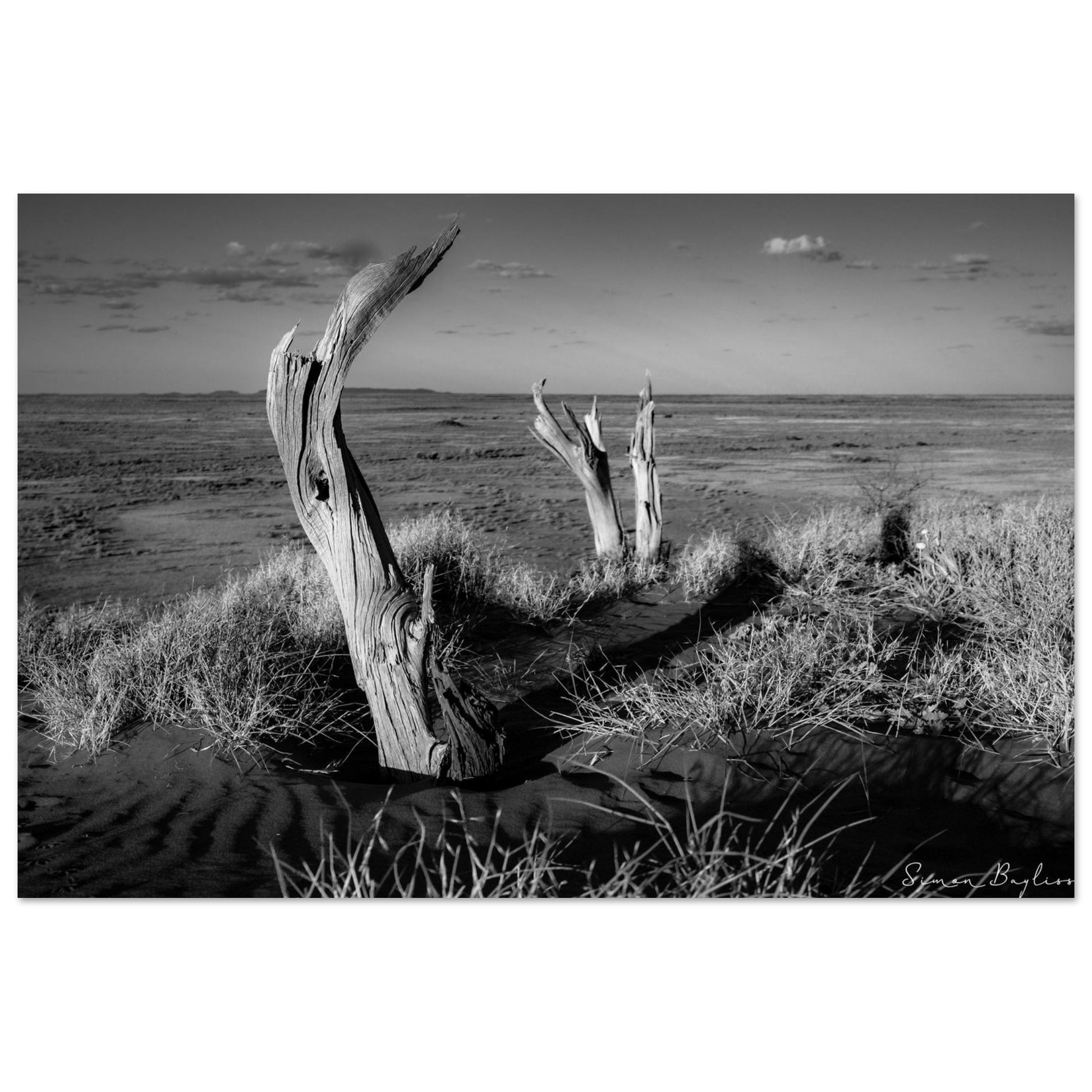 82096970-fb9e-4623-b916-498882894c06