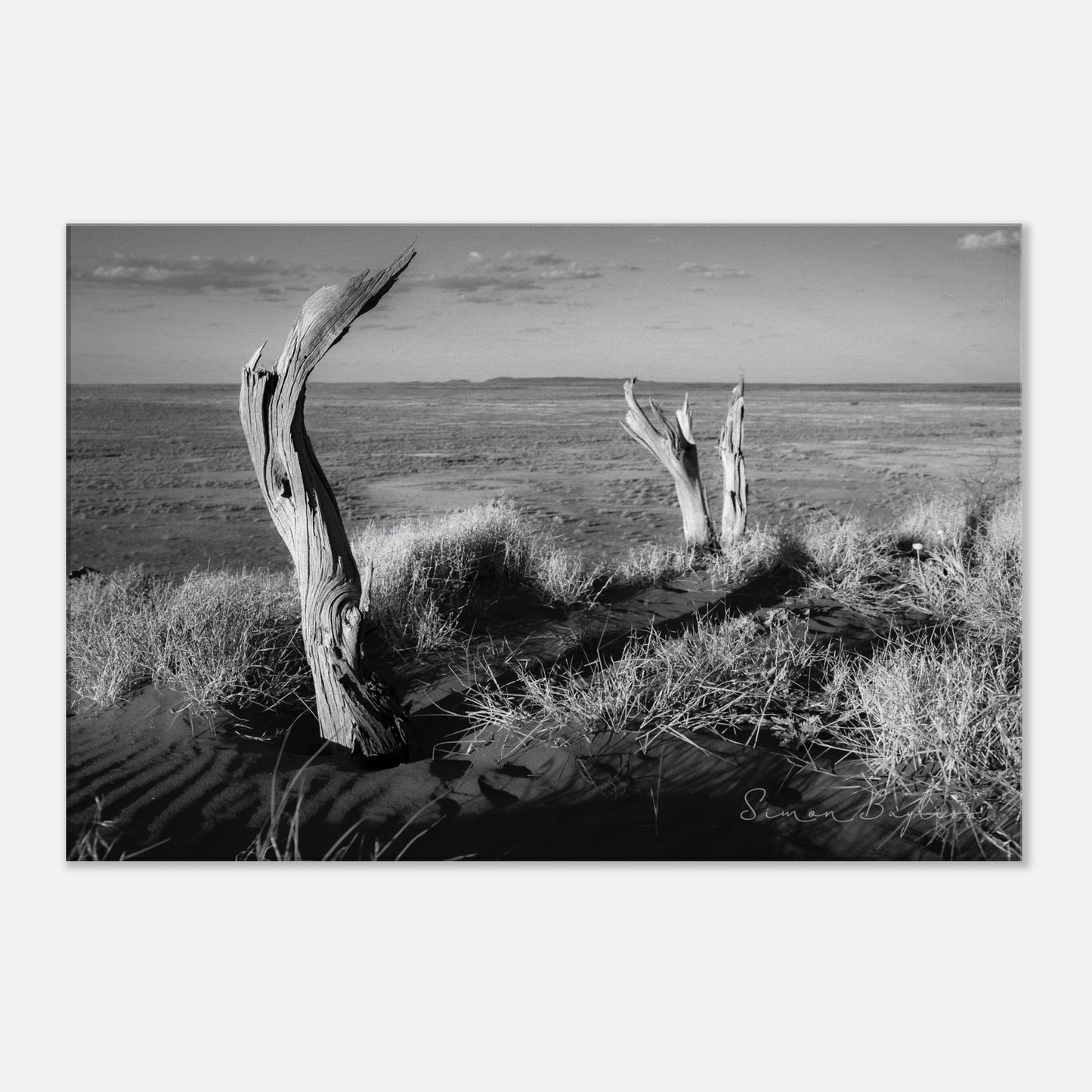 82f9a12e-1c92-4c4e-8eb0-03c4a0deeca5