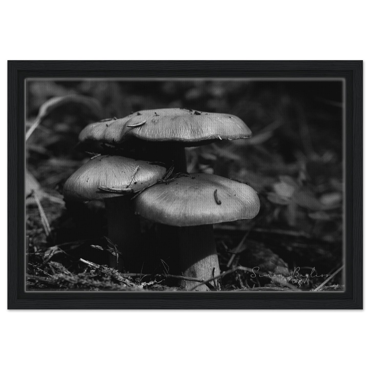 82fa6480-0017-4b87-b992-44a612061686