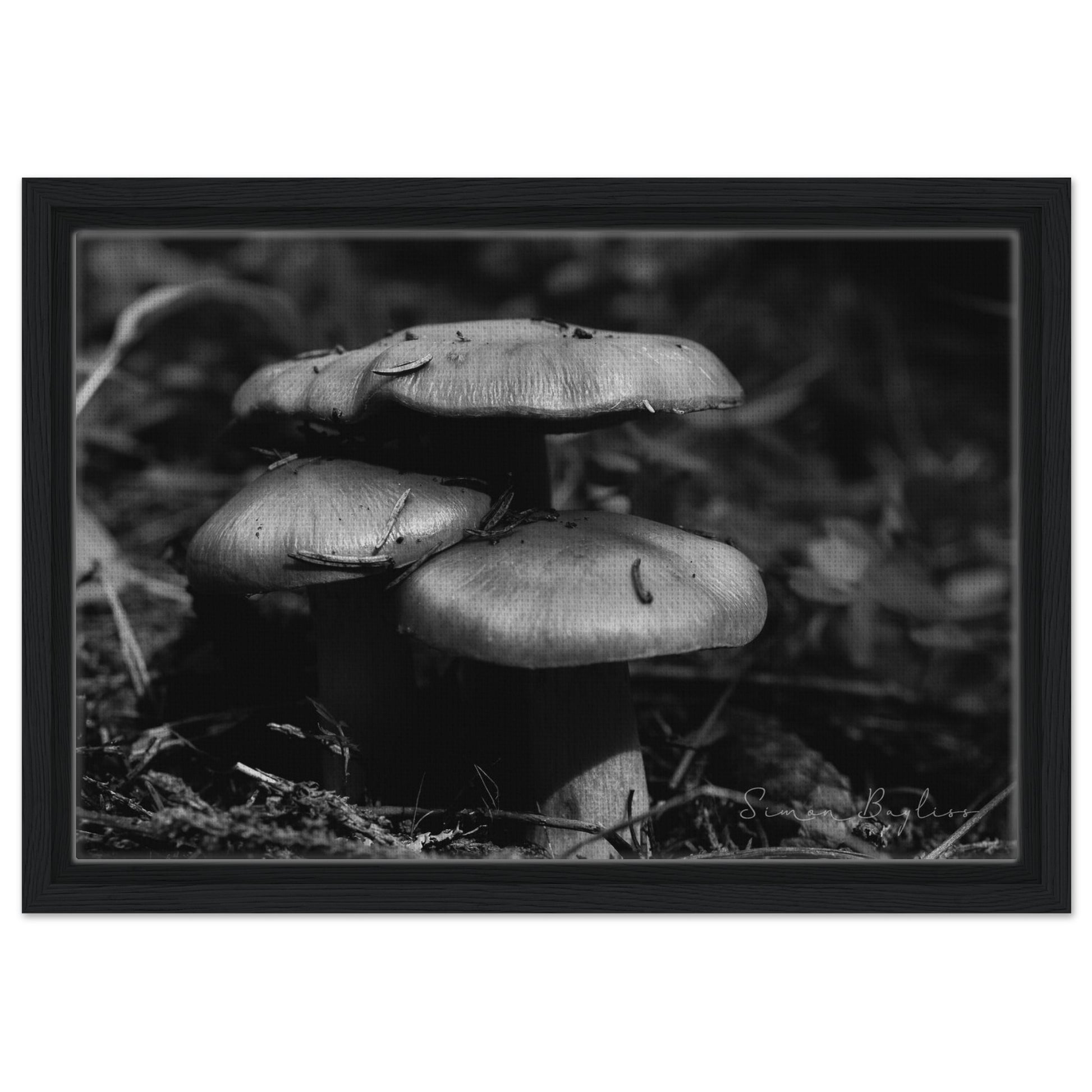 82fa6480-0017-4b87-b992-44a612061686