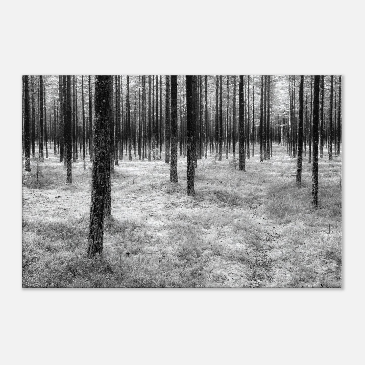 8346601f-6184-40df-a0ef-075091676f04