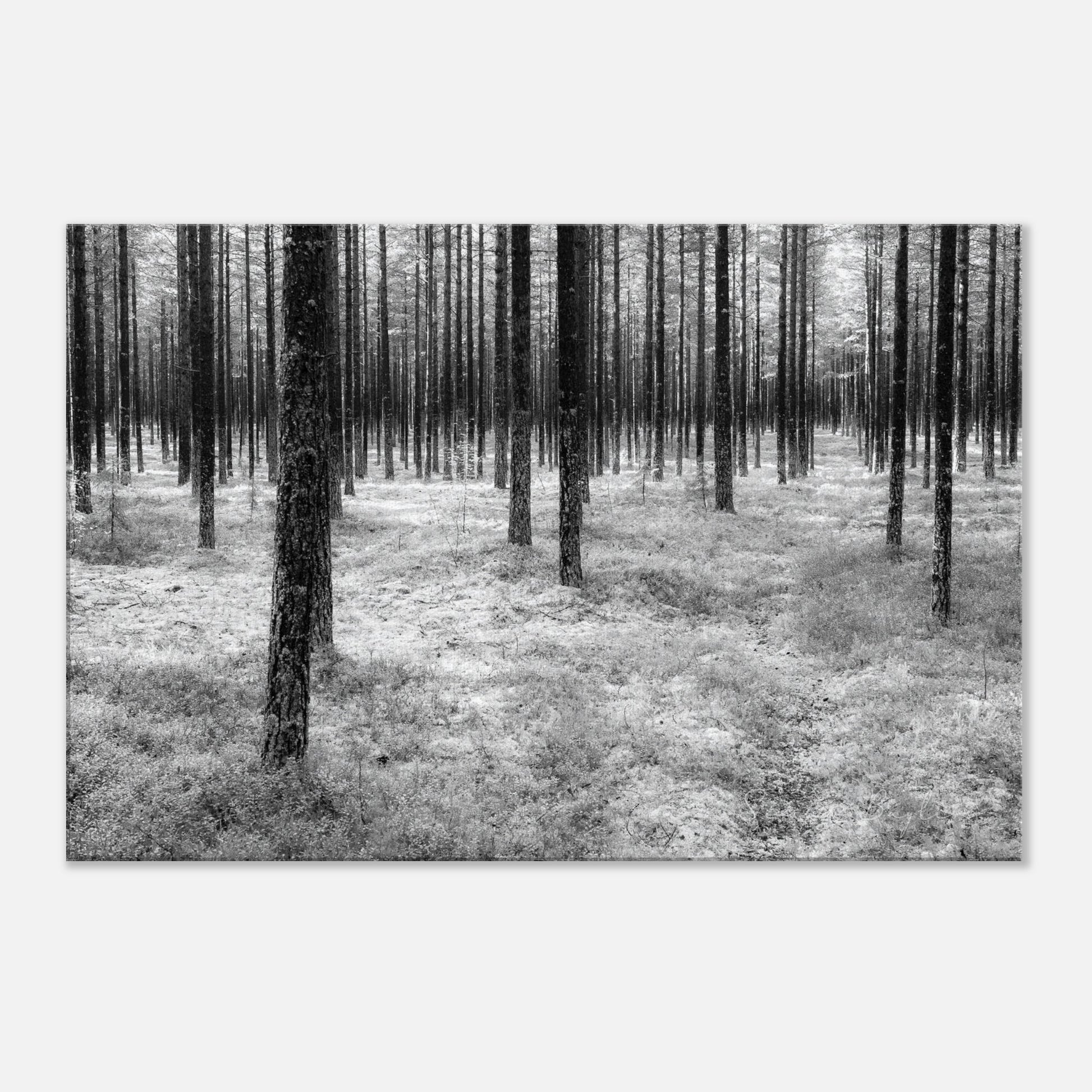 8346601f-6184-40df-a0ef-075091676f04