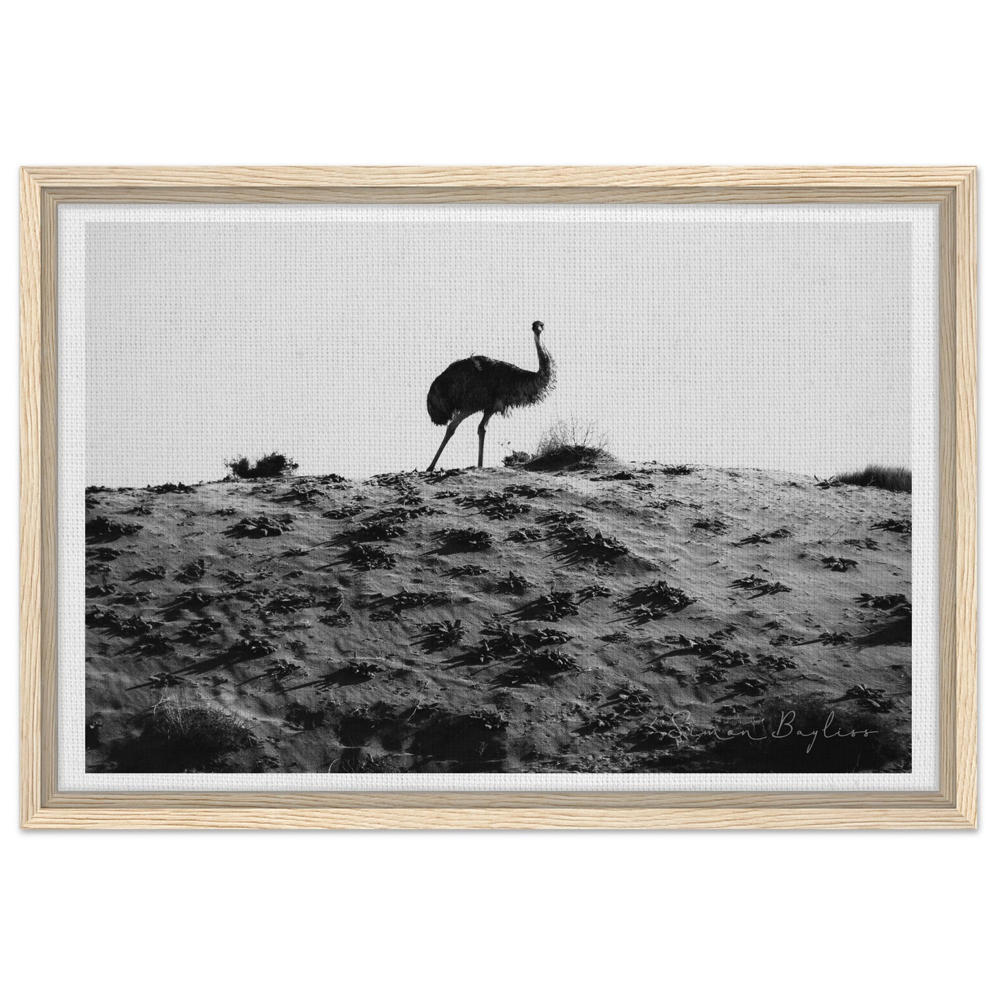 836d2e6f-88d1-41c8-a5fa-ecceda740e93