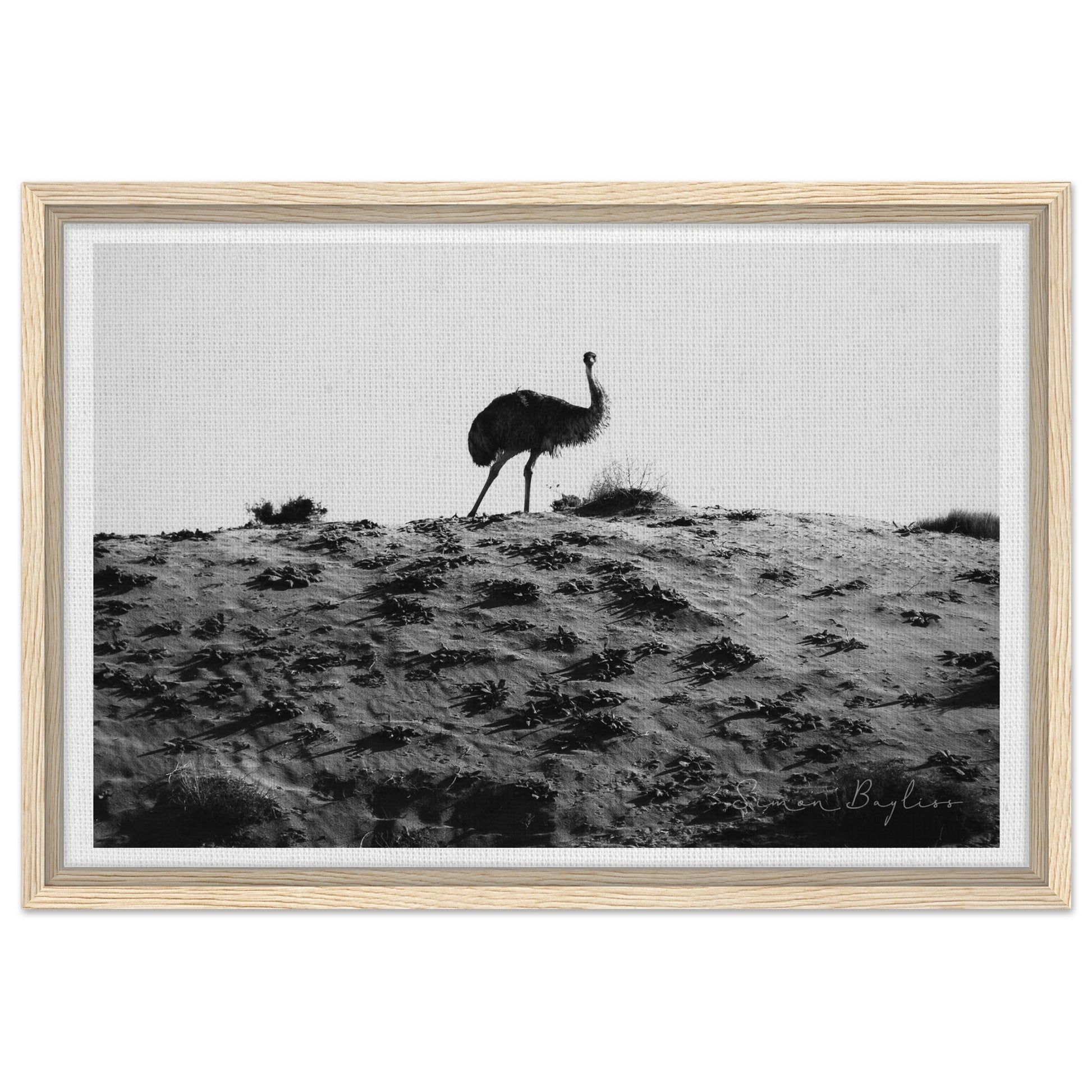 836d2e6f-88d1-41c8-a5fa-ecceda740e93