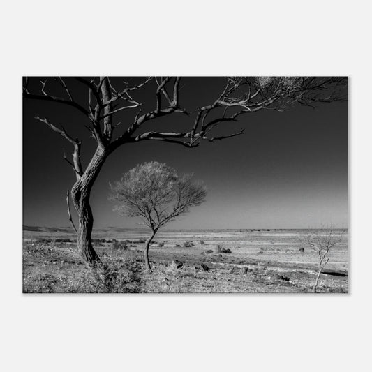 8442e5a8-9d3c-4ff5-aeb1-080c5f2e1a74