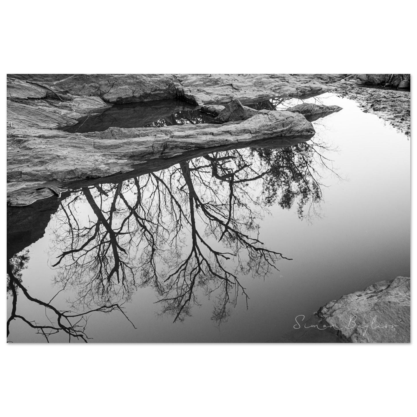 84813584-7d9d-4575-8ef5-6a8e14bf119f