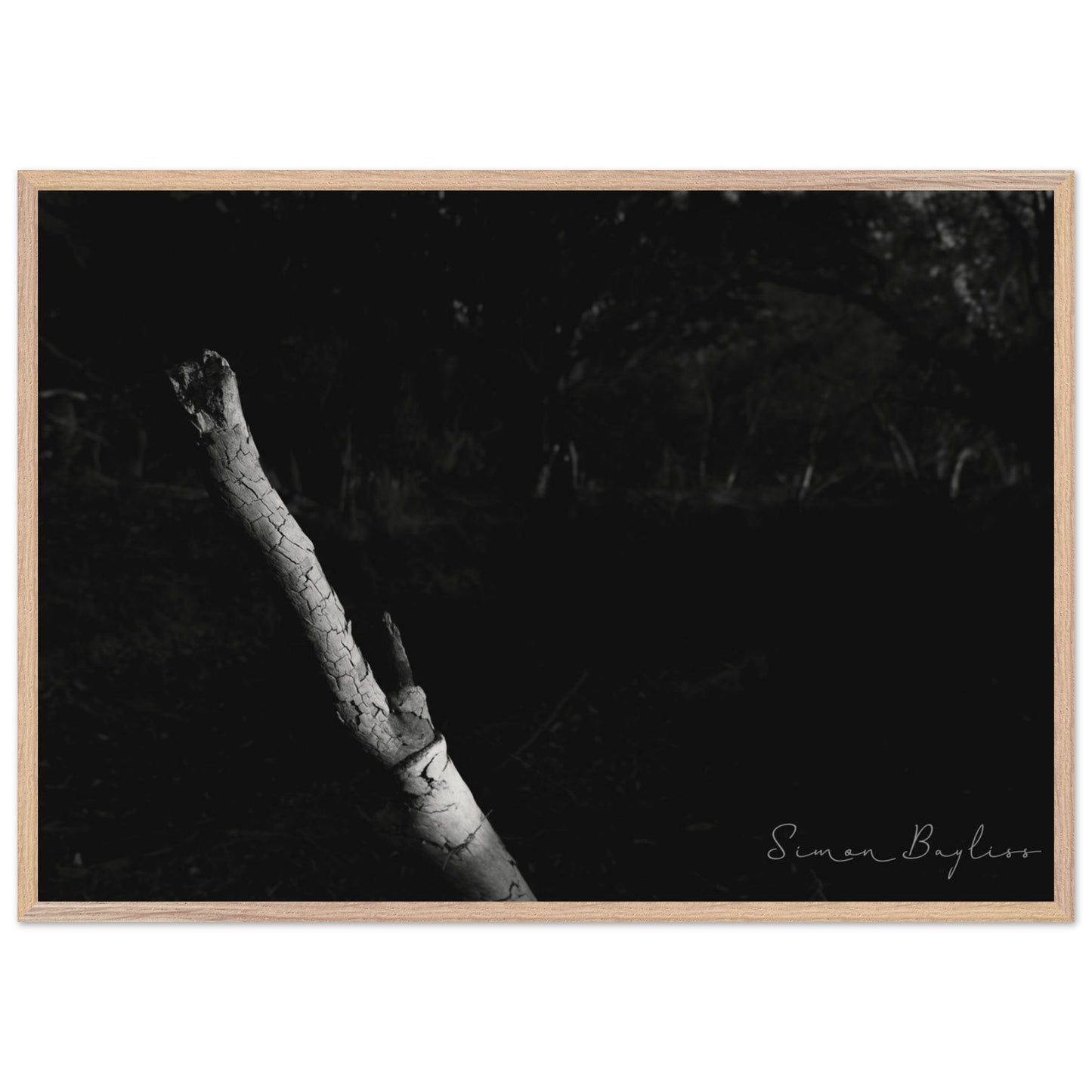 849e317d-3633-4ad8-8450-4cacc678241f