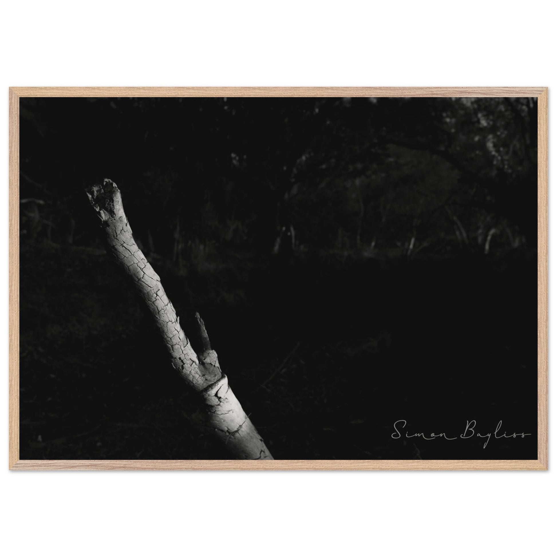 849e317d-3633-4ad8-8450-4cacc678241f