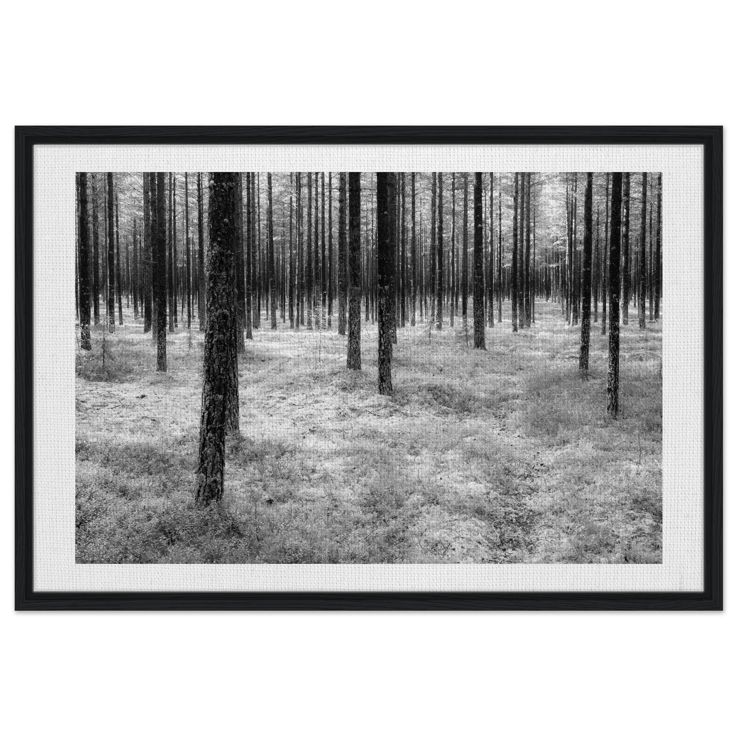 85c3da57-ff66-46d4-beb9-7bed259c67dd