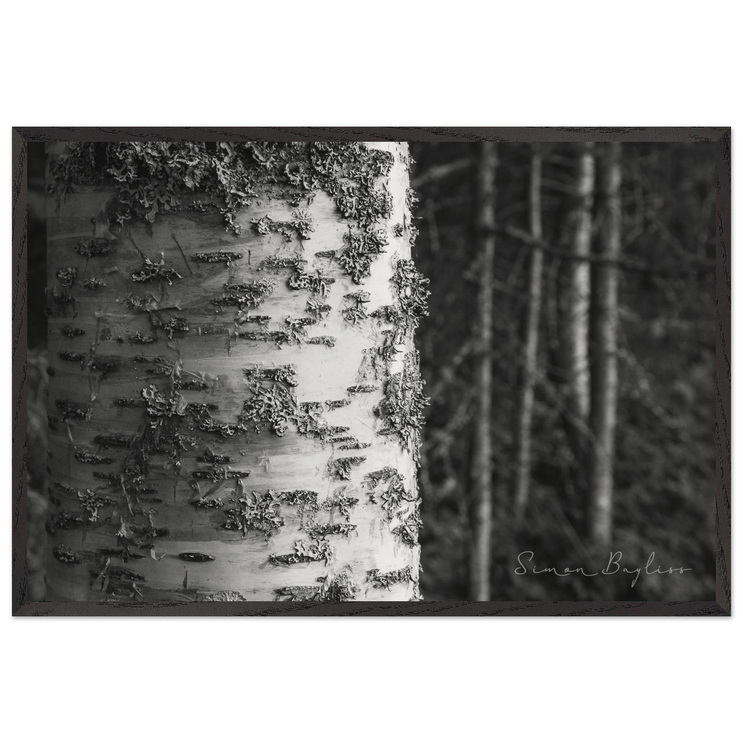 86446468-5ae6-426e-a201-3201cadfc59f