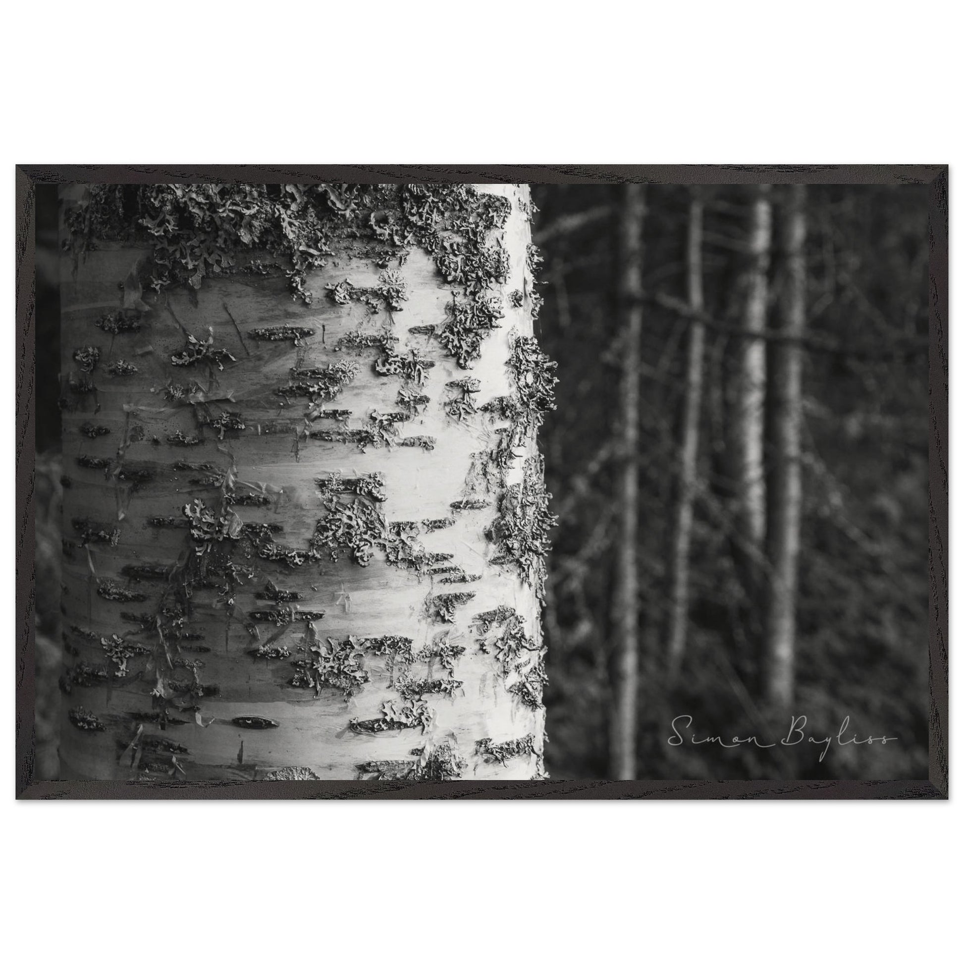 86446468-5ae6-426e-a201-3201cadfc59f