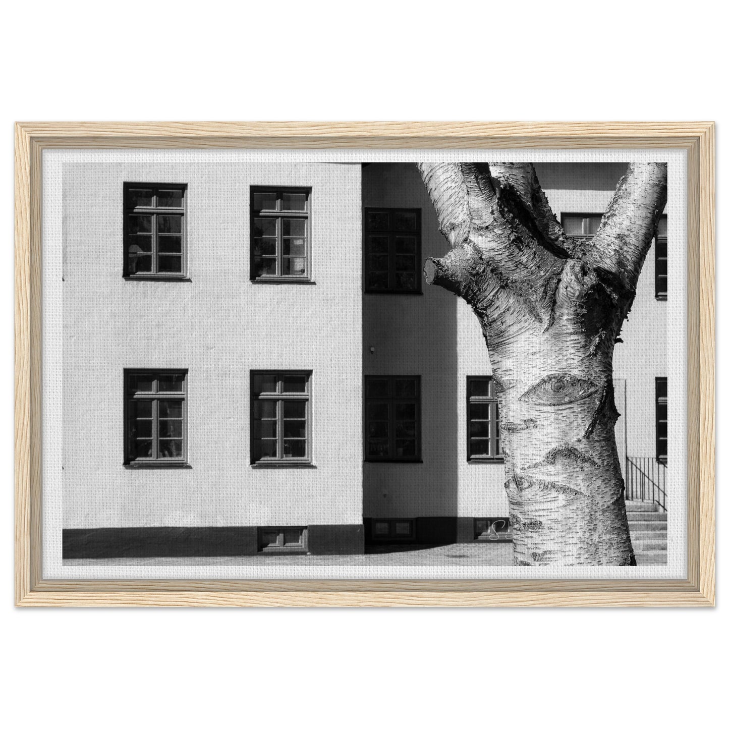 86bac9a2-36e1-4a1d-bdc2-b4235a74e244