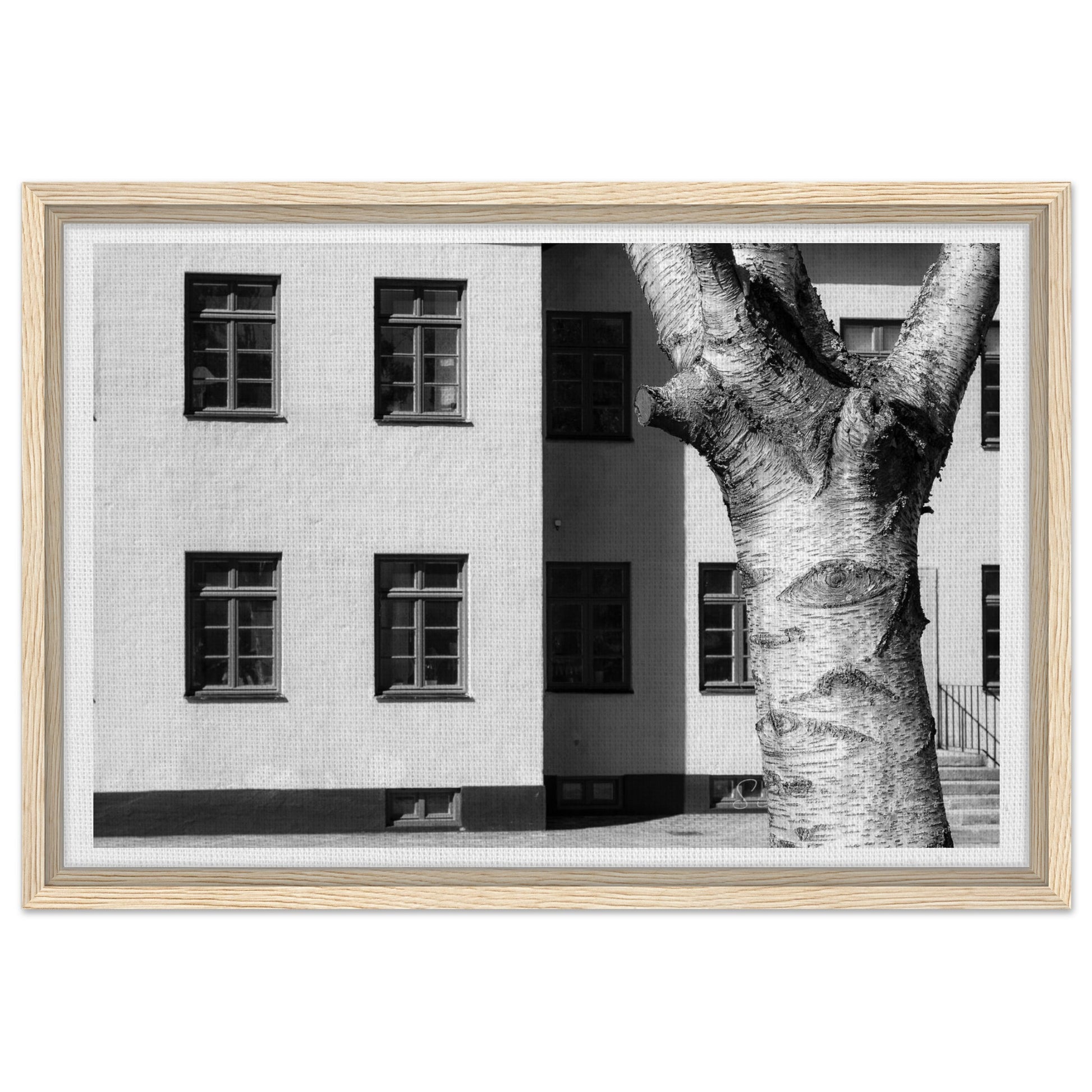 86bac9a2-36e1-4a1d-bdc2-b4235a74e244