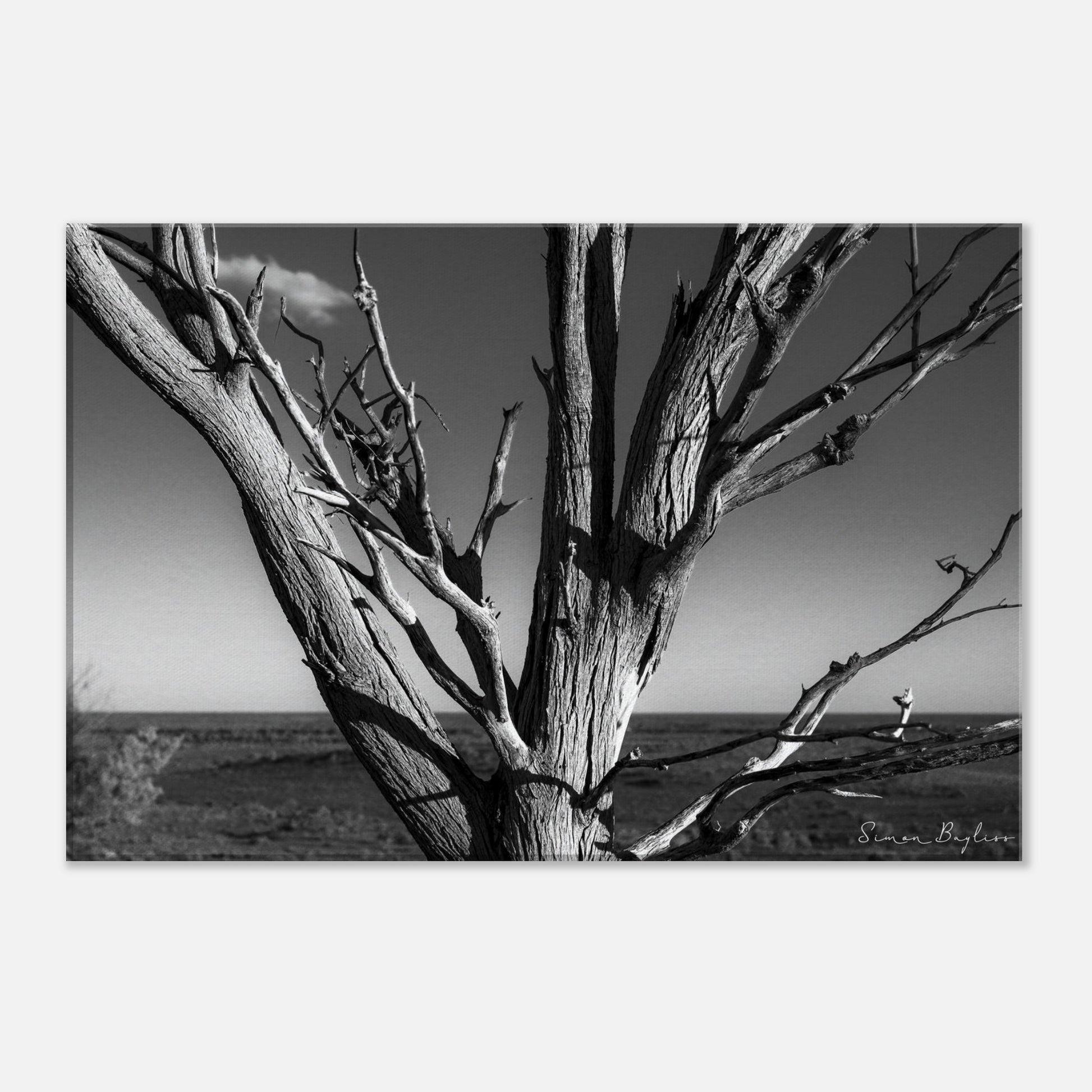 86e3cda6-0193-4868-90c7-1279389110ad