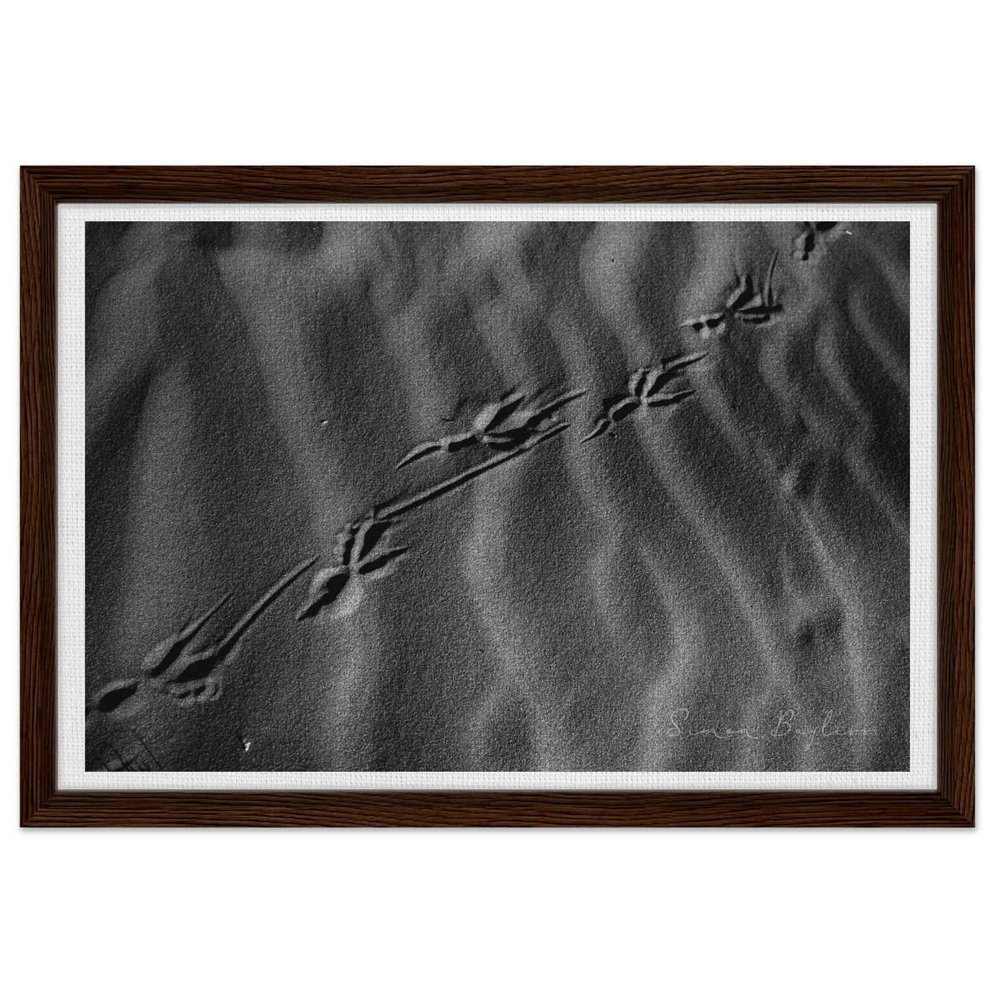 874a184a-39a8-4365-817c-a81f0c5e175c