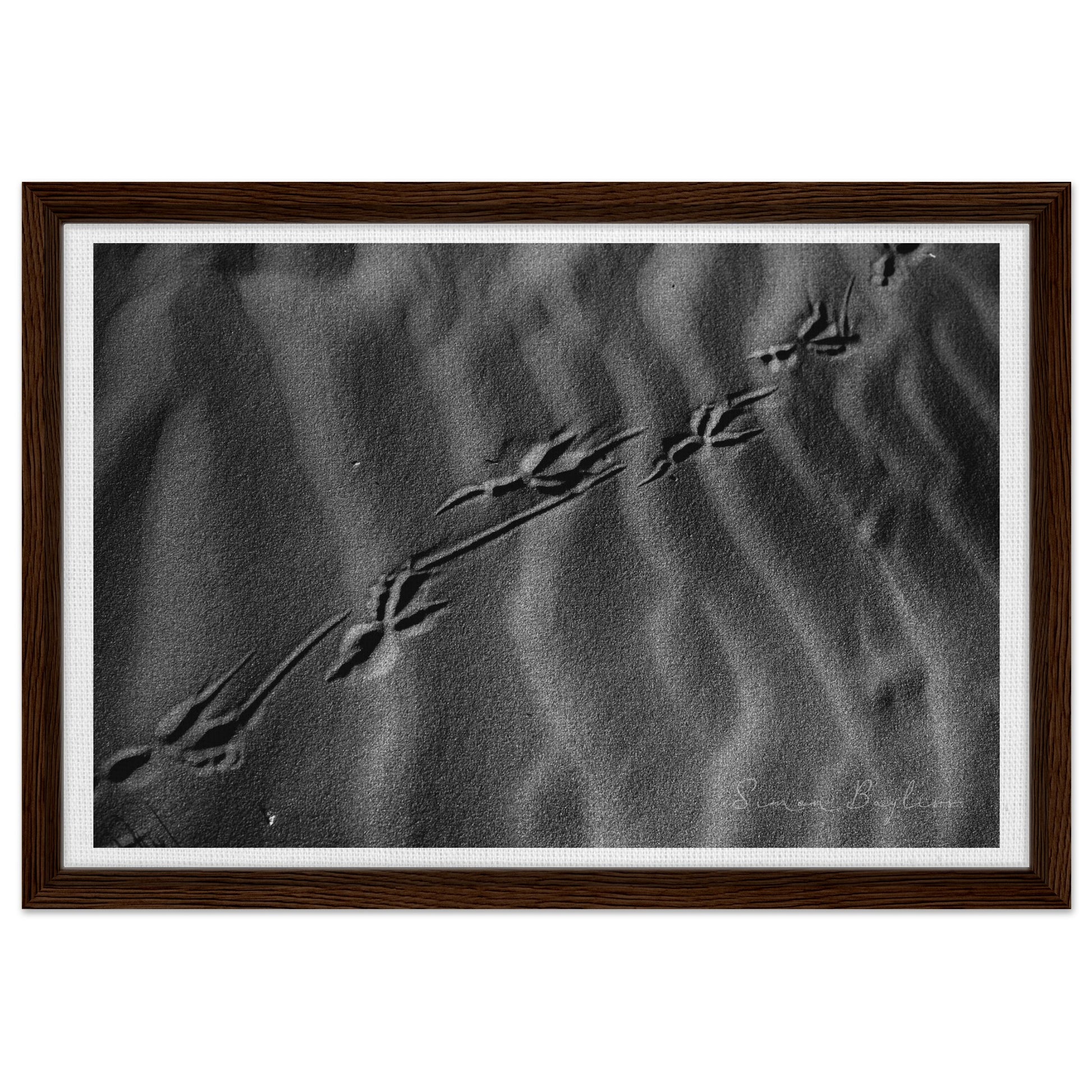 874a184a-39a8-4365-817c-a81f0c5e175c