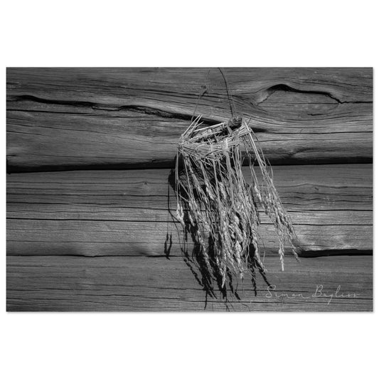 876fbcd3-0781-4fd1-b704-98bbd973a427