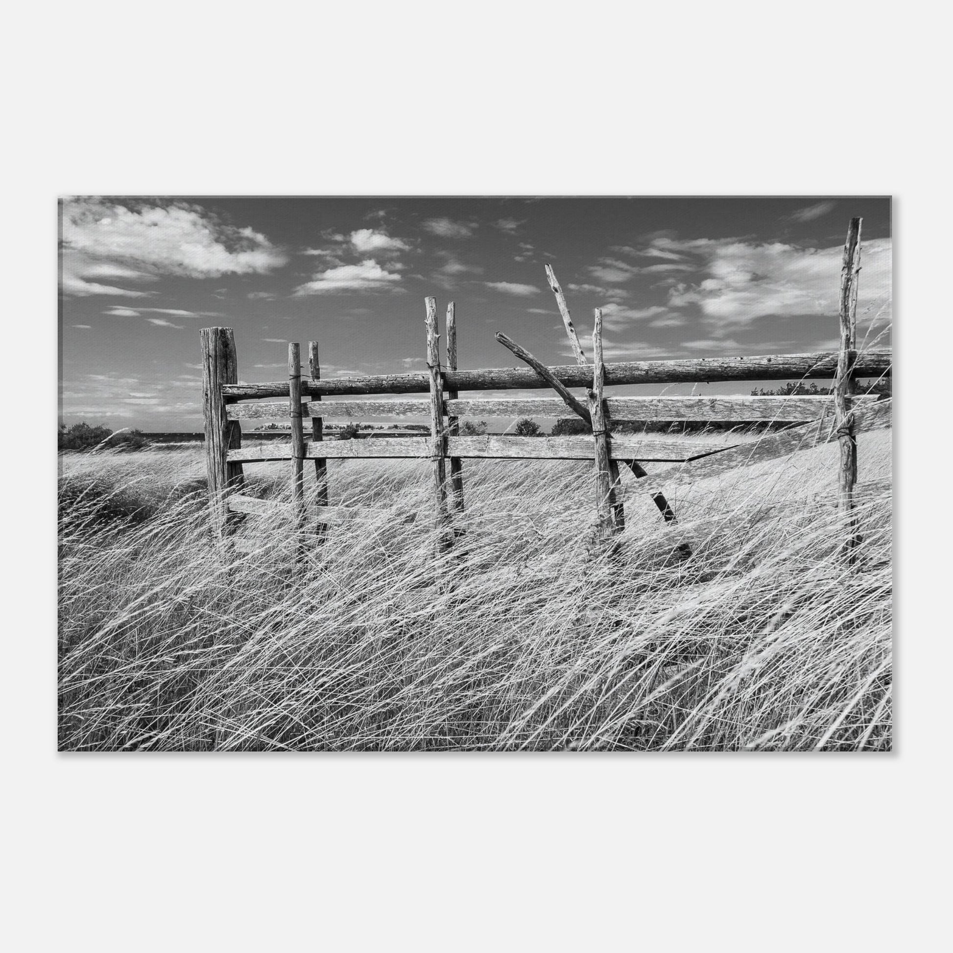 882278e8-e592-4e95-9c2e-ccfc489c6a99