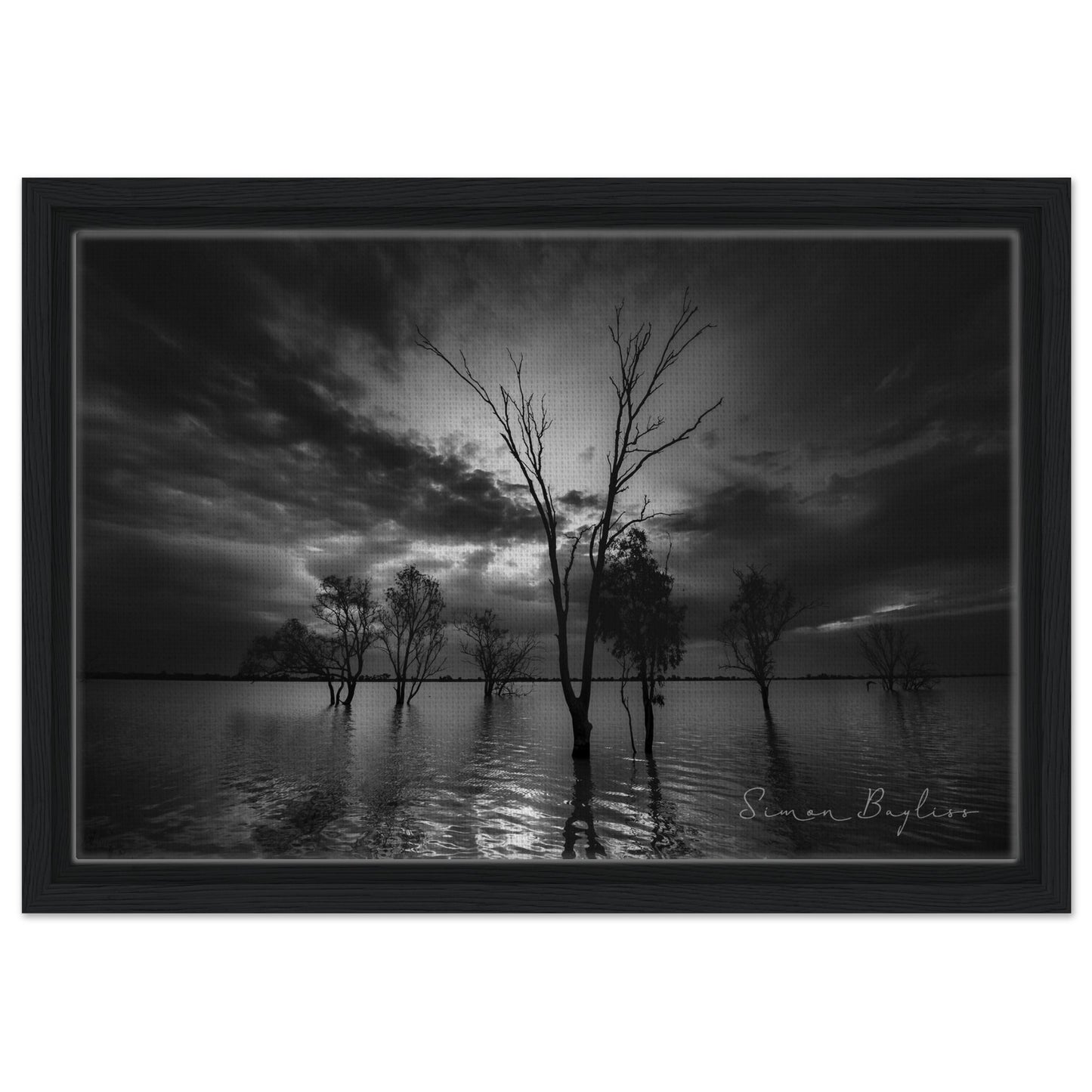 887a1e57-8c0c-4250-92de-ad2161197689