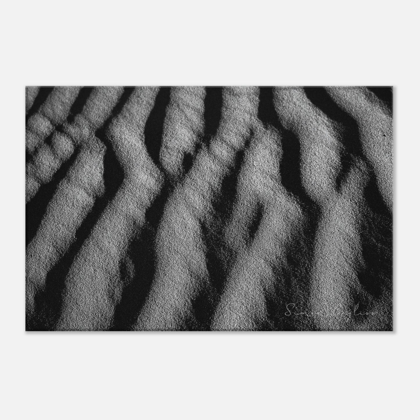 88e9bcdd-284c-4d74-aab7-3f2e6c073360