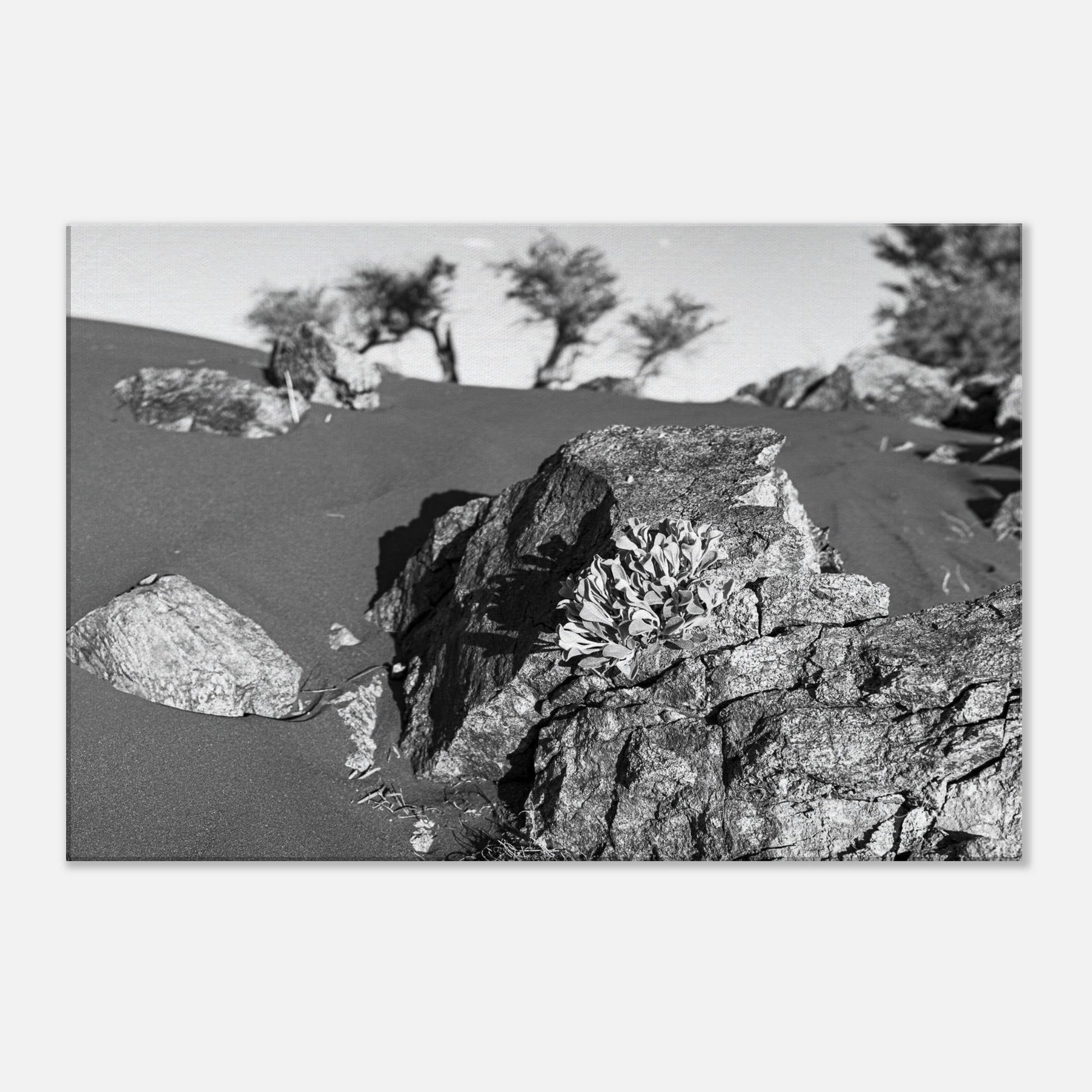 895d8537-1415-4fb6-894f-ee76df0811c9