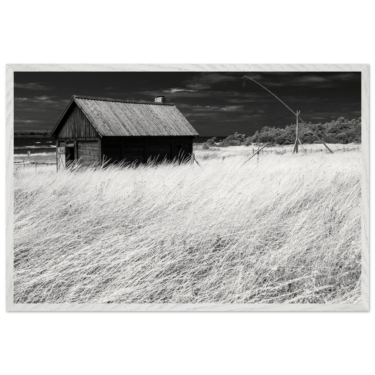 8a34aca7-6ef7-43ce-9619-876e1004d28b