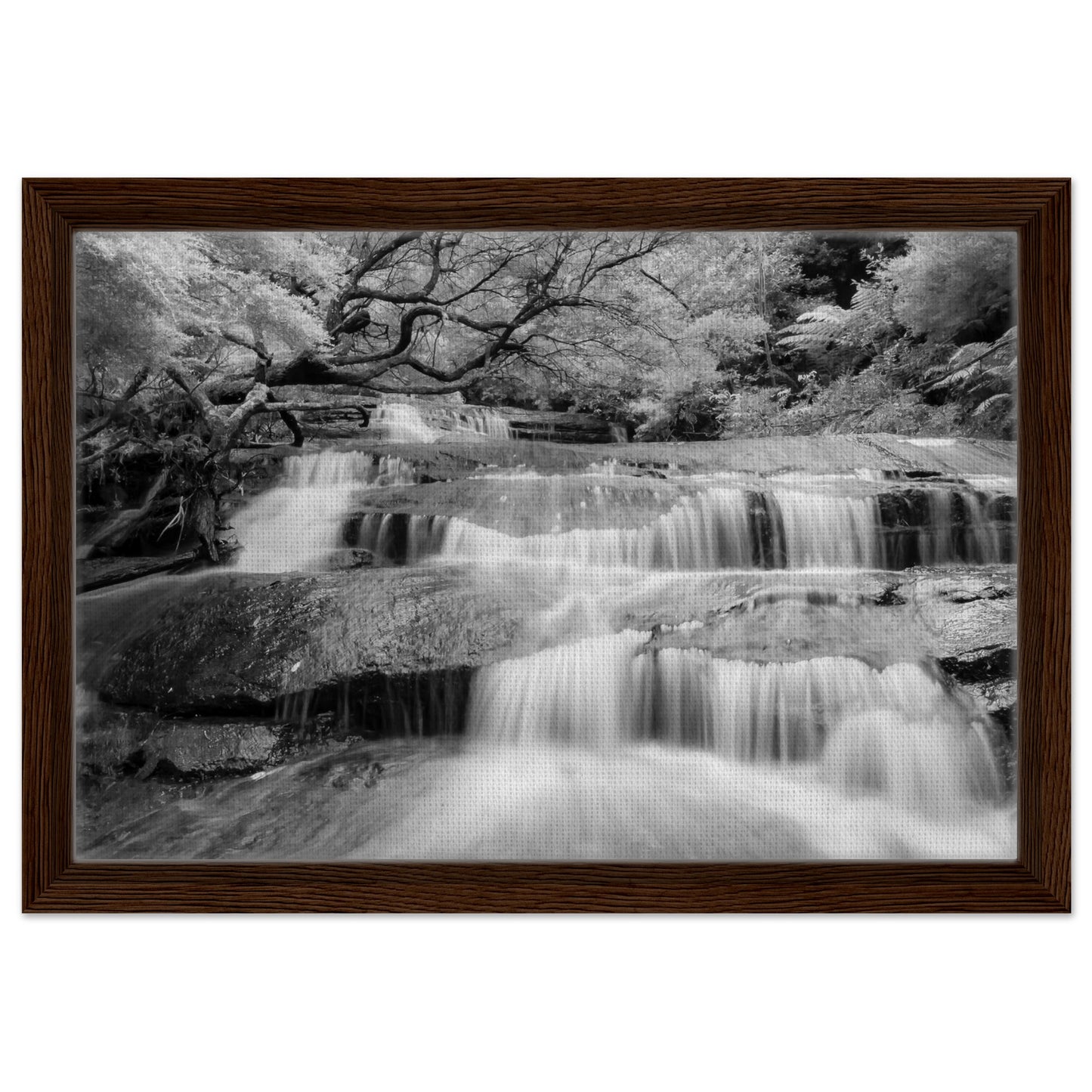 8a367482-a914-48f6-8a90-6530ccad7cc3