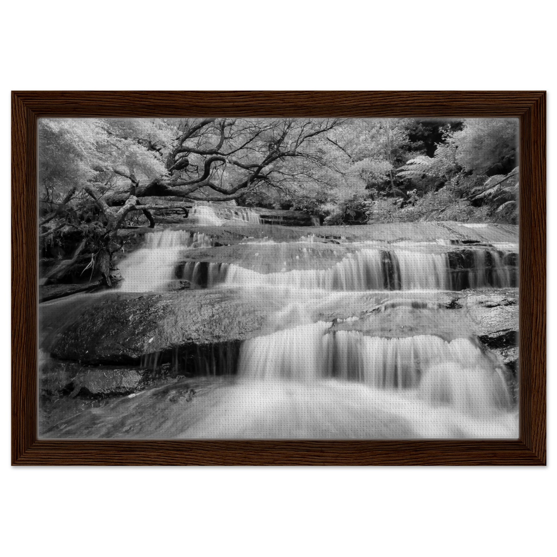 8a367482-a914-48f6-8a90-6530ccad7cc3