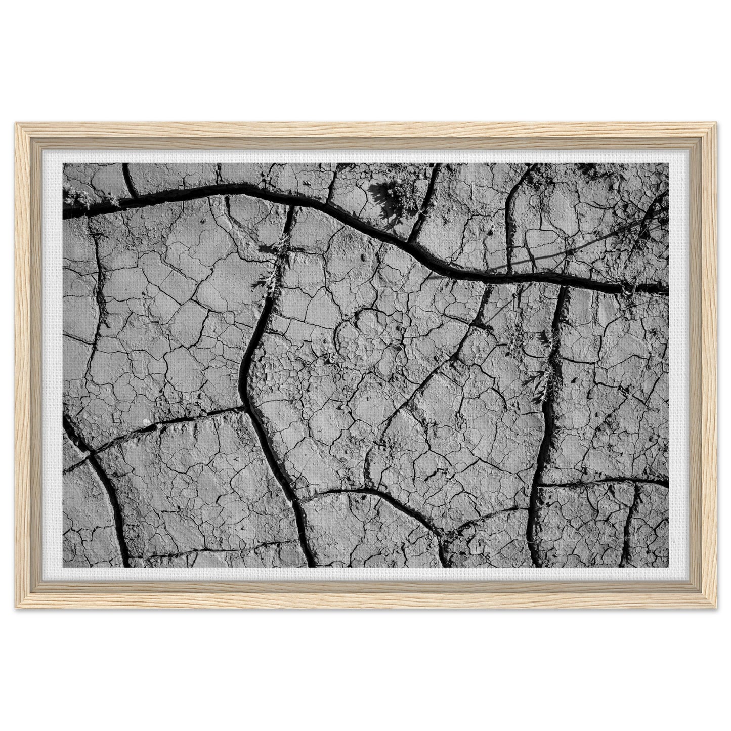 8a7b0a2b-a8b5-4ff9-9d47-c0b2c6d37247