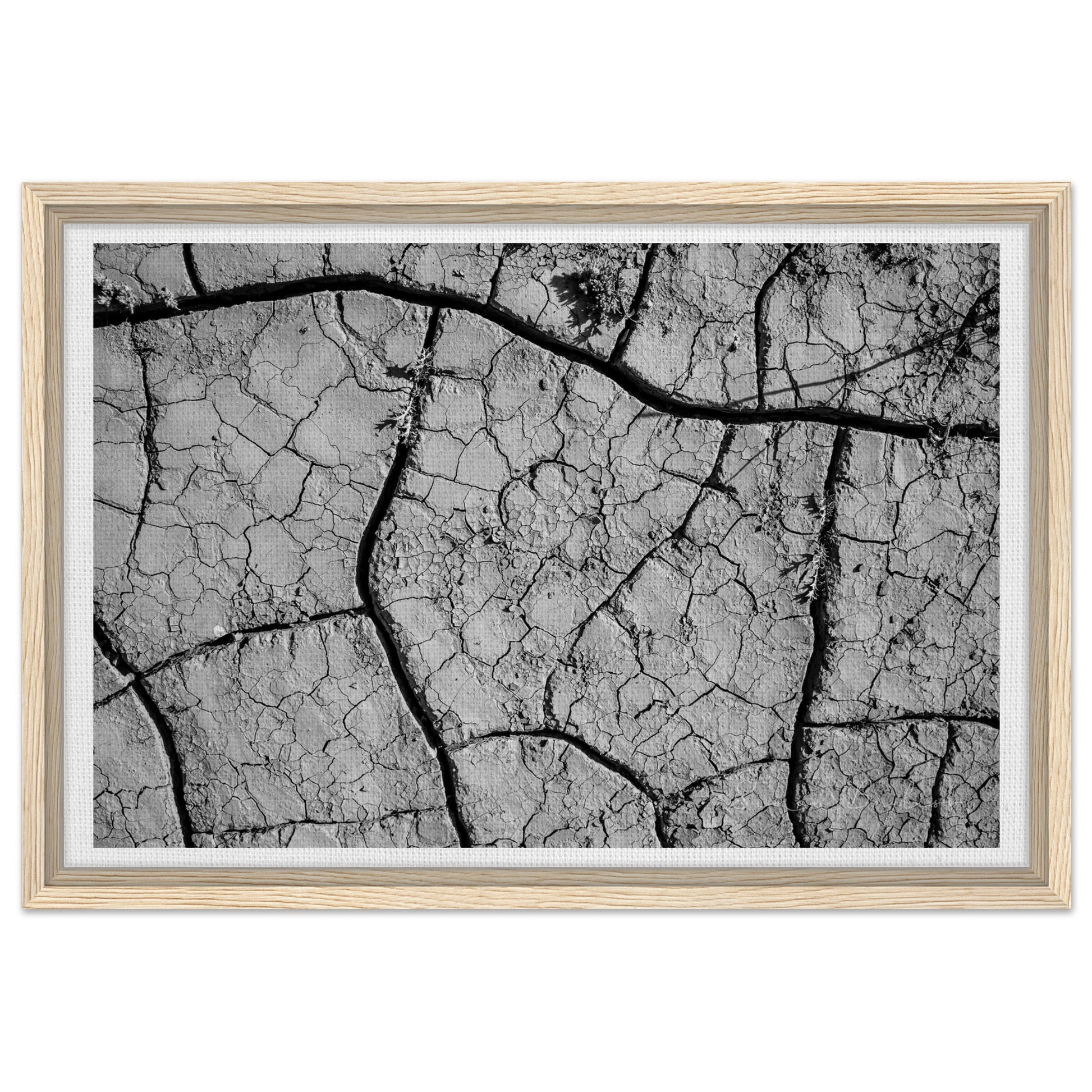 8a7b0a2b-a8b5-4ff9-9d47-c0b2c6d37247