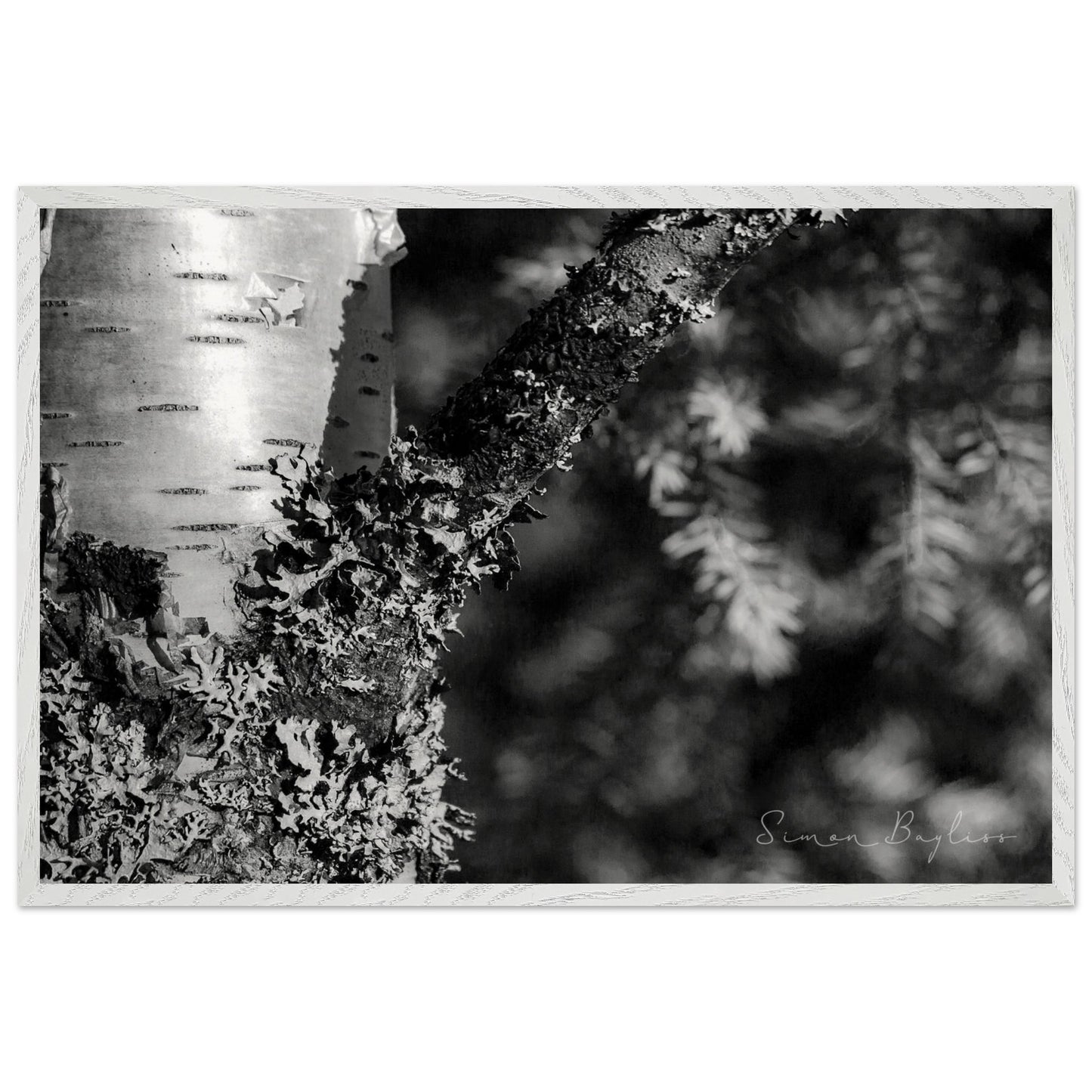 8bf59393-c496-459e-b392-7bb1a9bcc347