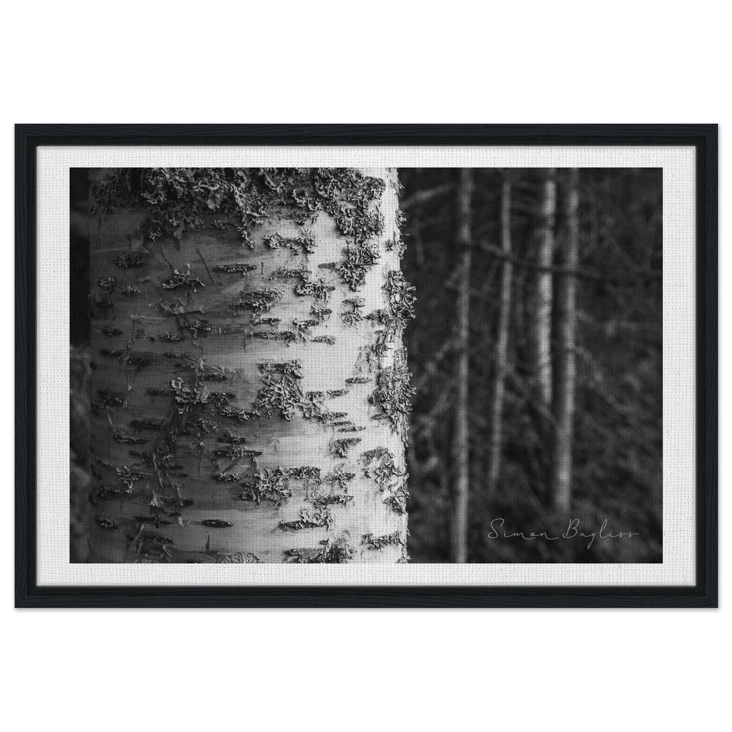 8d3965f2-365b-4eb6-a728-3a124e794f72