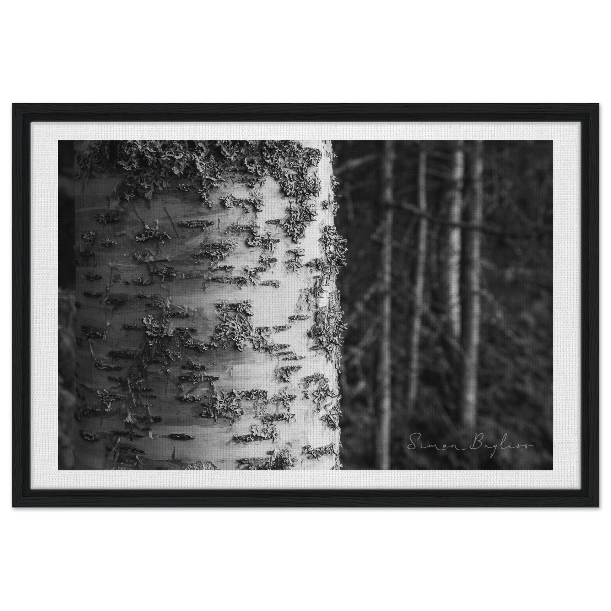 8d3965f2-365b-4eb6-a728-3a124e794f72