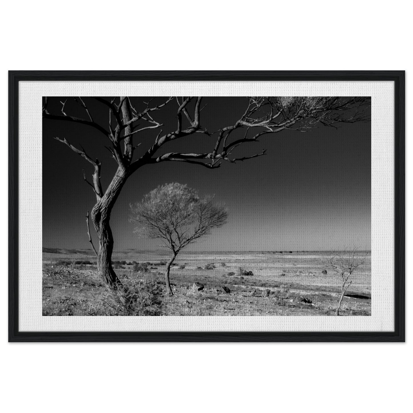 8d6b152c-28de-4053-95fd-1ae4b8a549f5