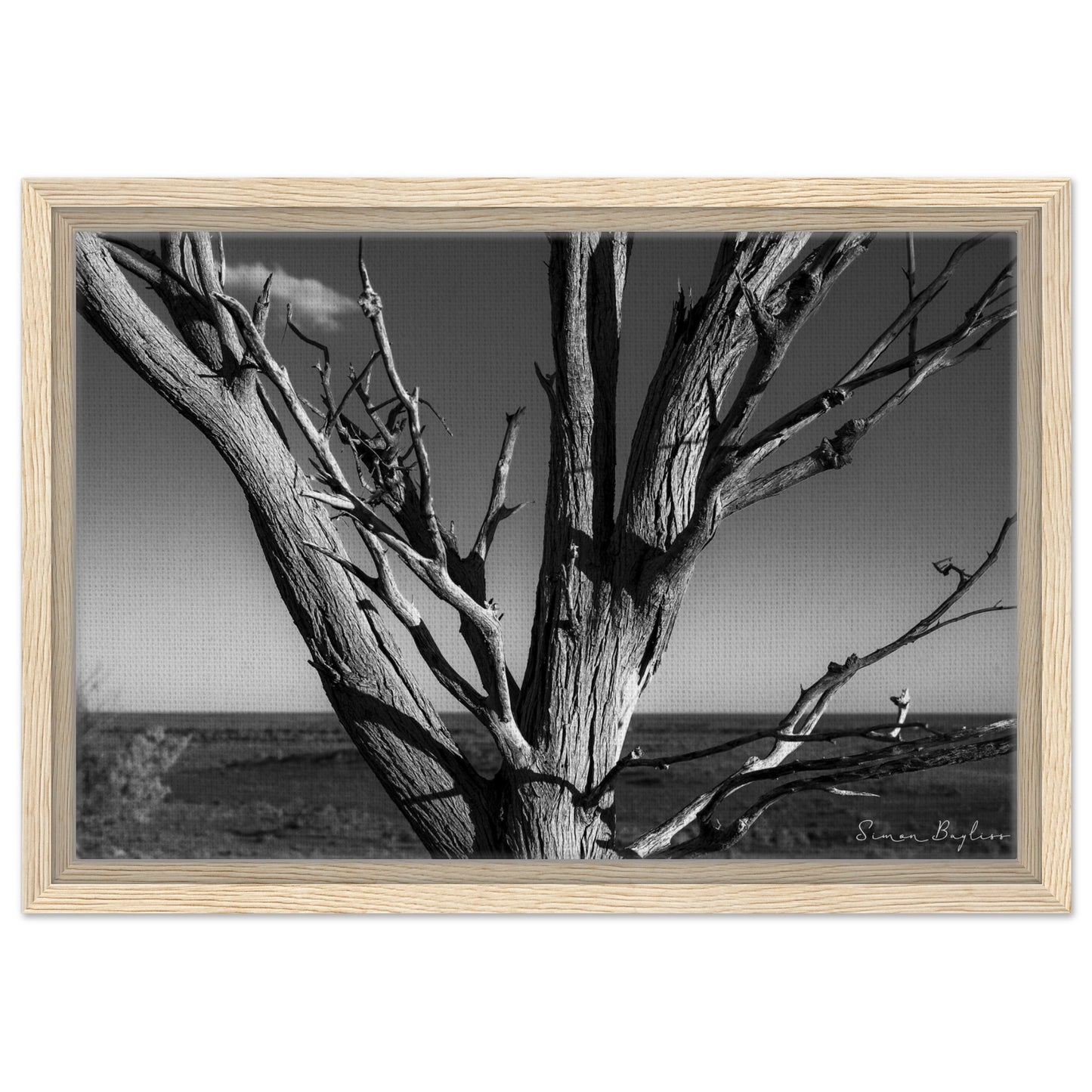 8d88aba7-1c67-461a-91b9-6e88cd81ffba