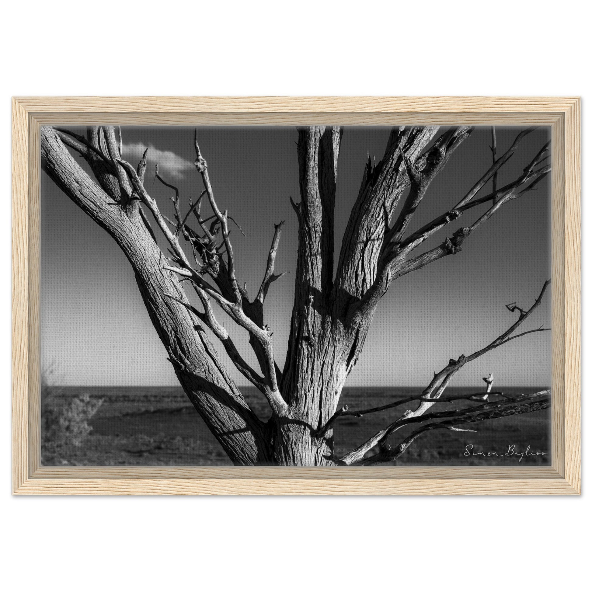 8d88aba7-1c67-461a-91b9-6e88cd81ffba