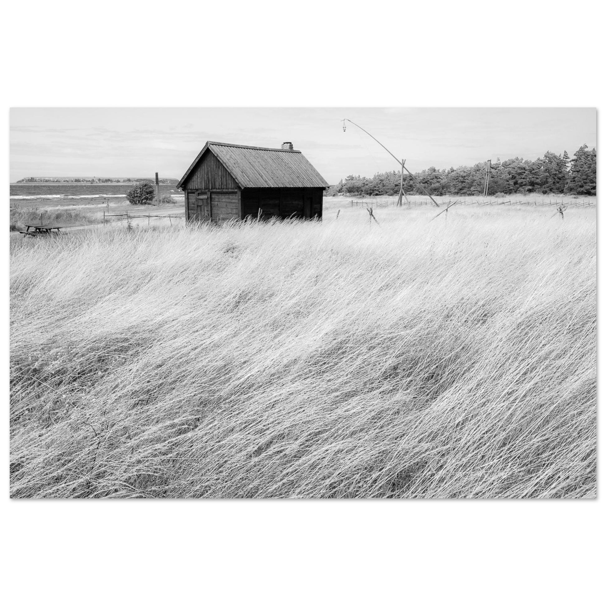 8dd3cd19-88ad-421b-ba6b-37a6a470a06e