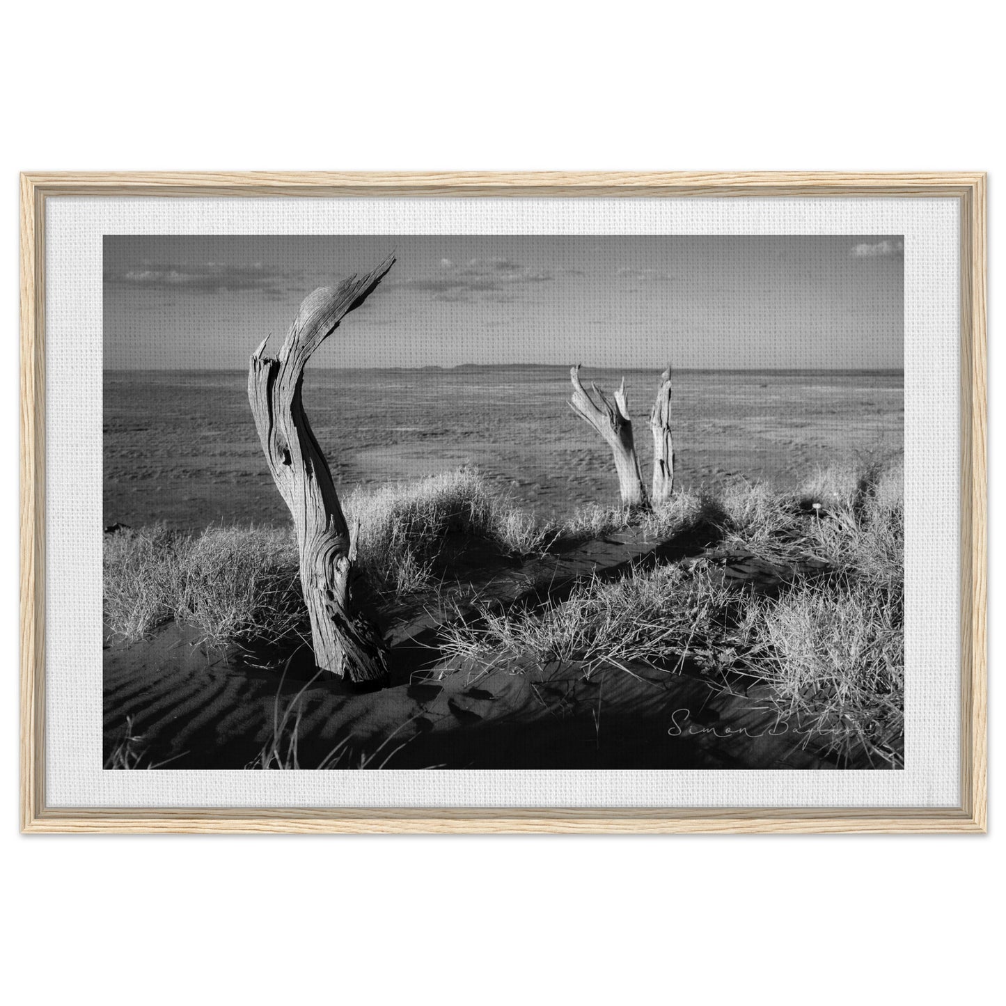 8e4a5b34-631a-425d-964d-b80140308628