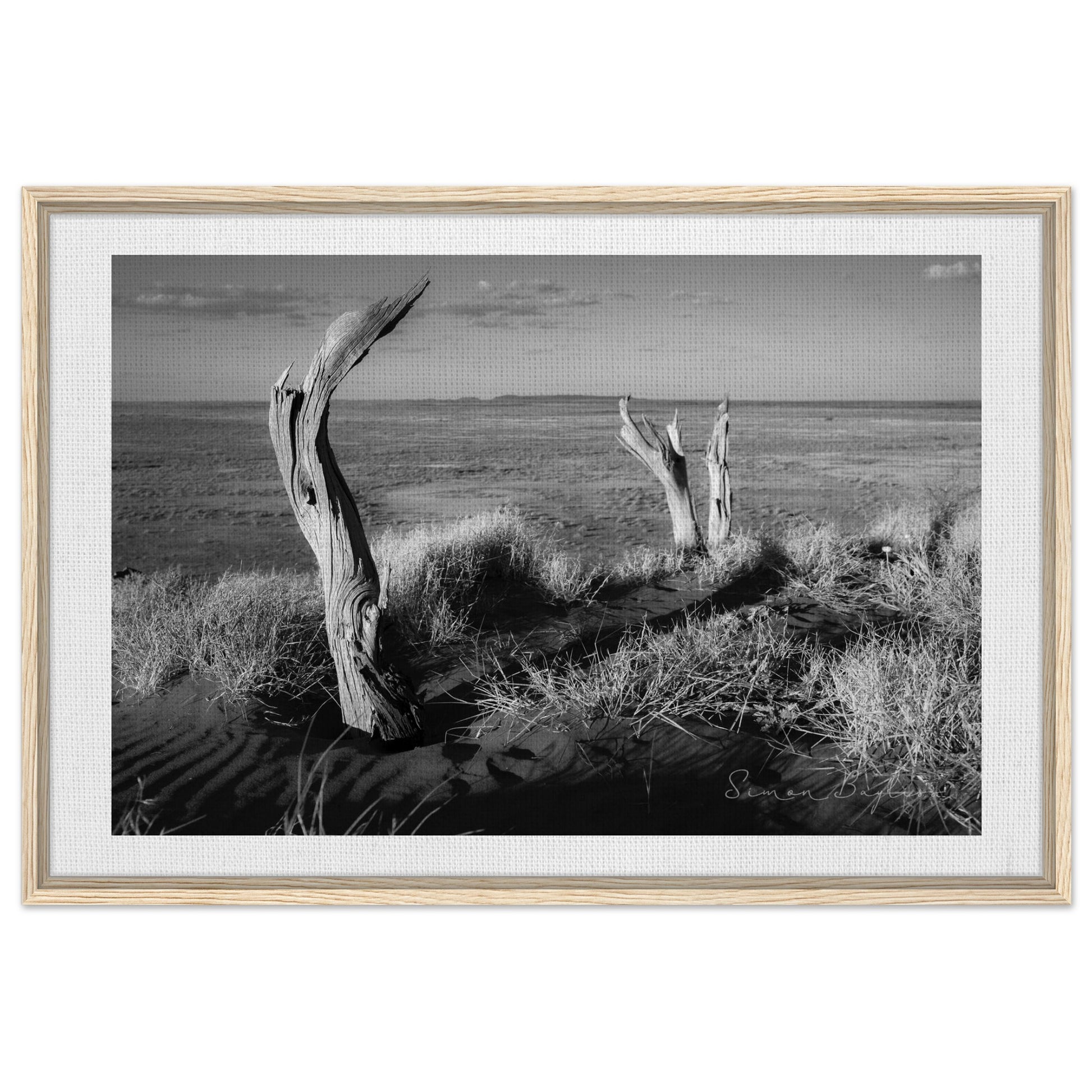 8e4a5b34-631a-425d-964d-b80140308628