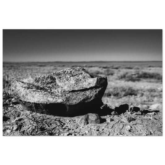 8e6cb99e-218e-43e0-9f12-8309c9b33e7d