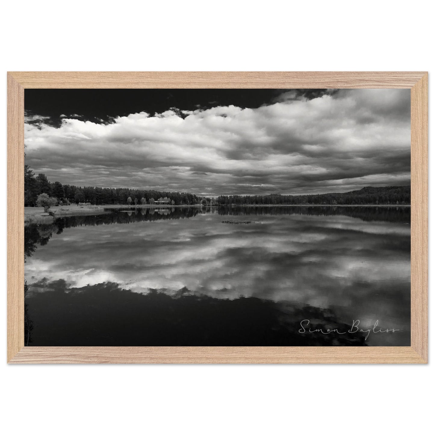 8edf5b55-b0af-4d26-b3fe-2ff5dc9aa666