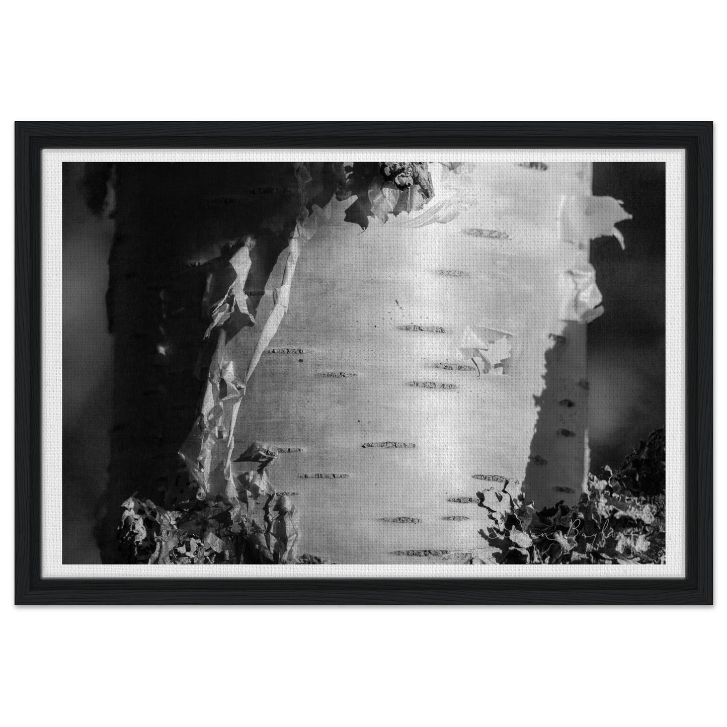 8ee29ddf-0ba0-4007-b22d-706ac8f2235a