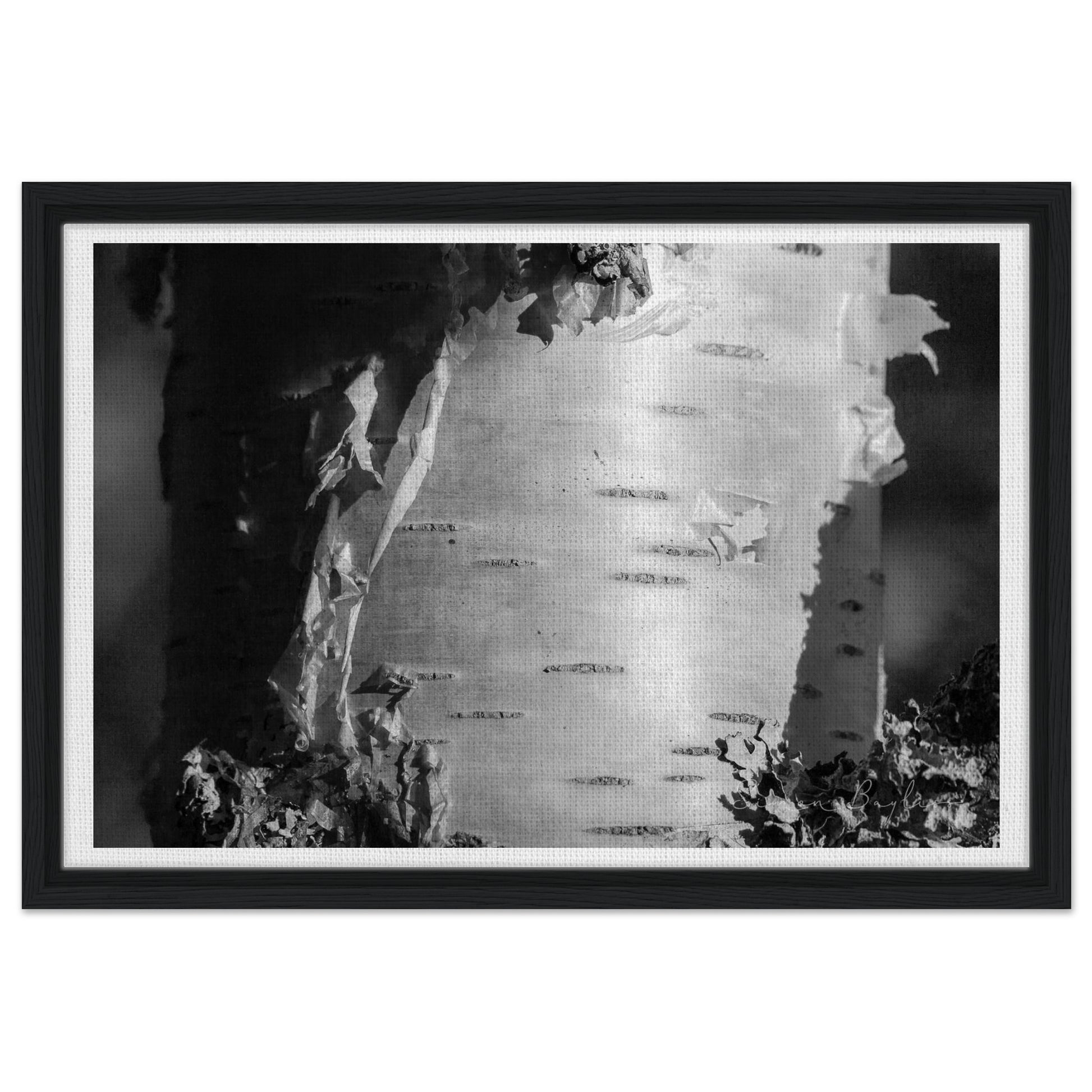 8ee29ddf-0ba0-4007-b22d-706ac8f2235a