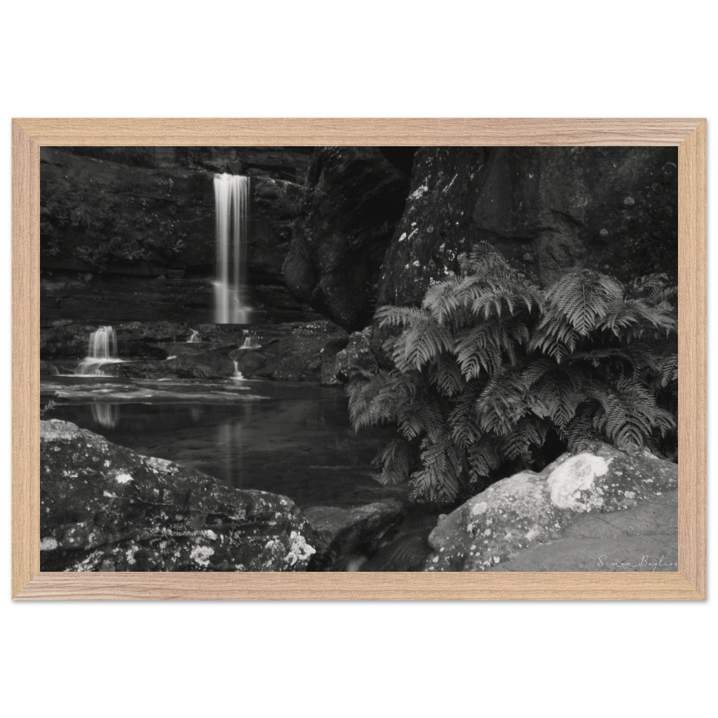 8f0db6bf-c635-4bae-a59e-1079fc672903