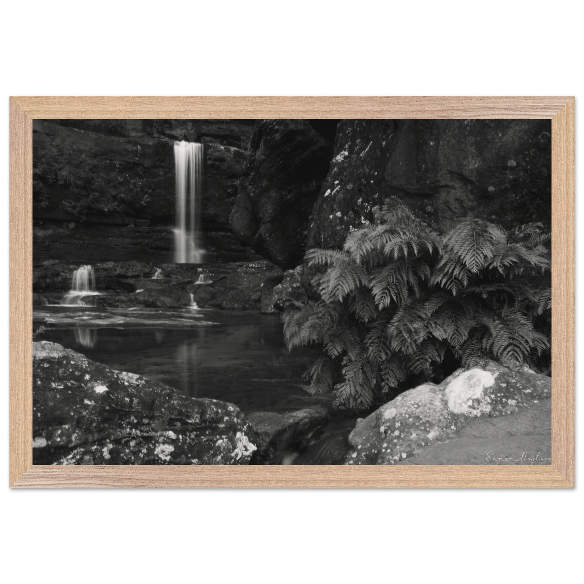 8f0db6bf-c635-4bae-a59e-1079fc672903