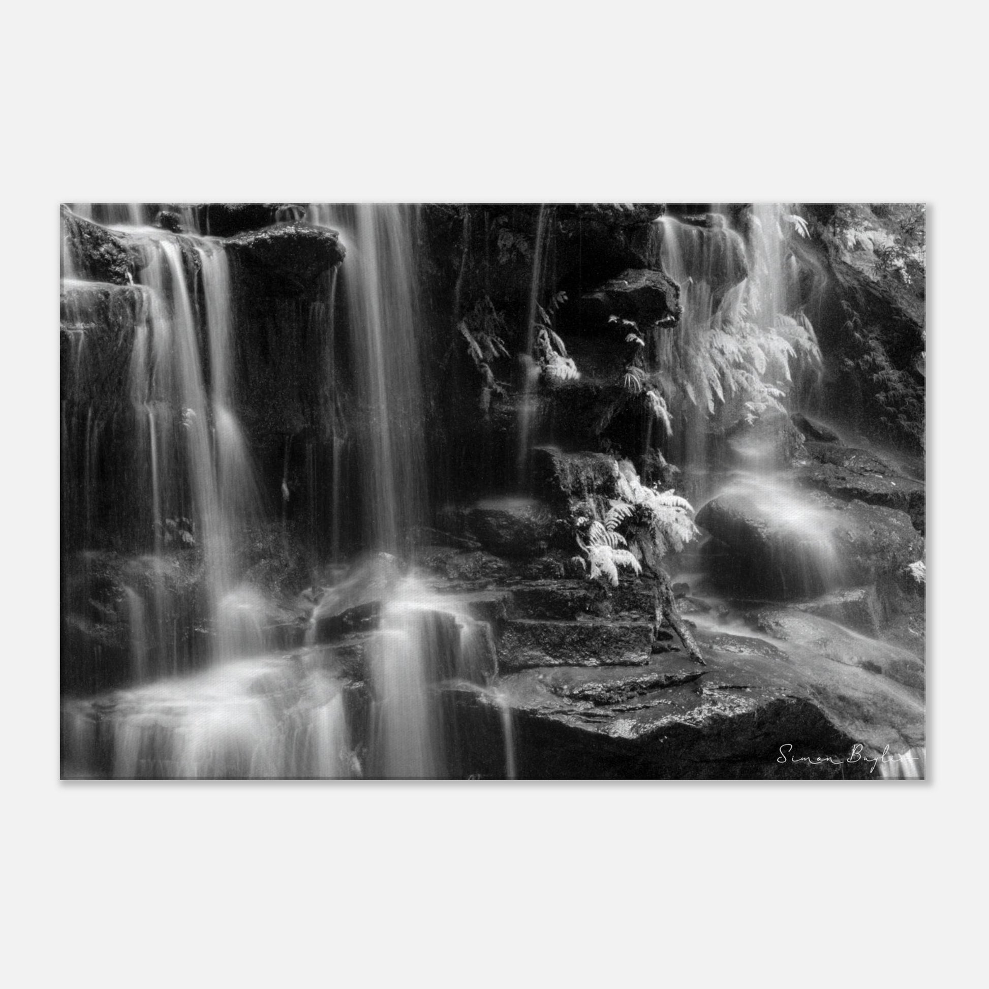 8fd4d9b0-b0e0-4728-b192-90cae892c9ab