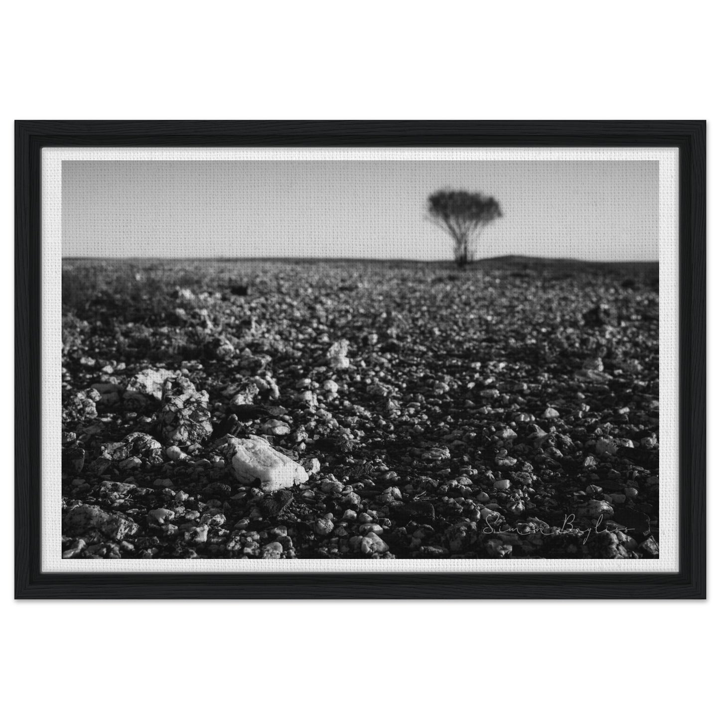 9061708d-7e82-451e-a6f9-81efb136f3e5