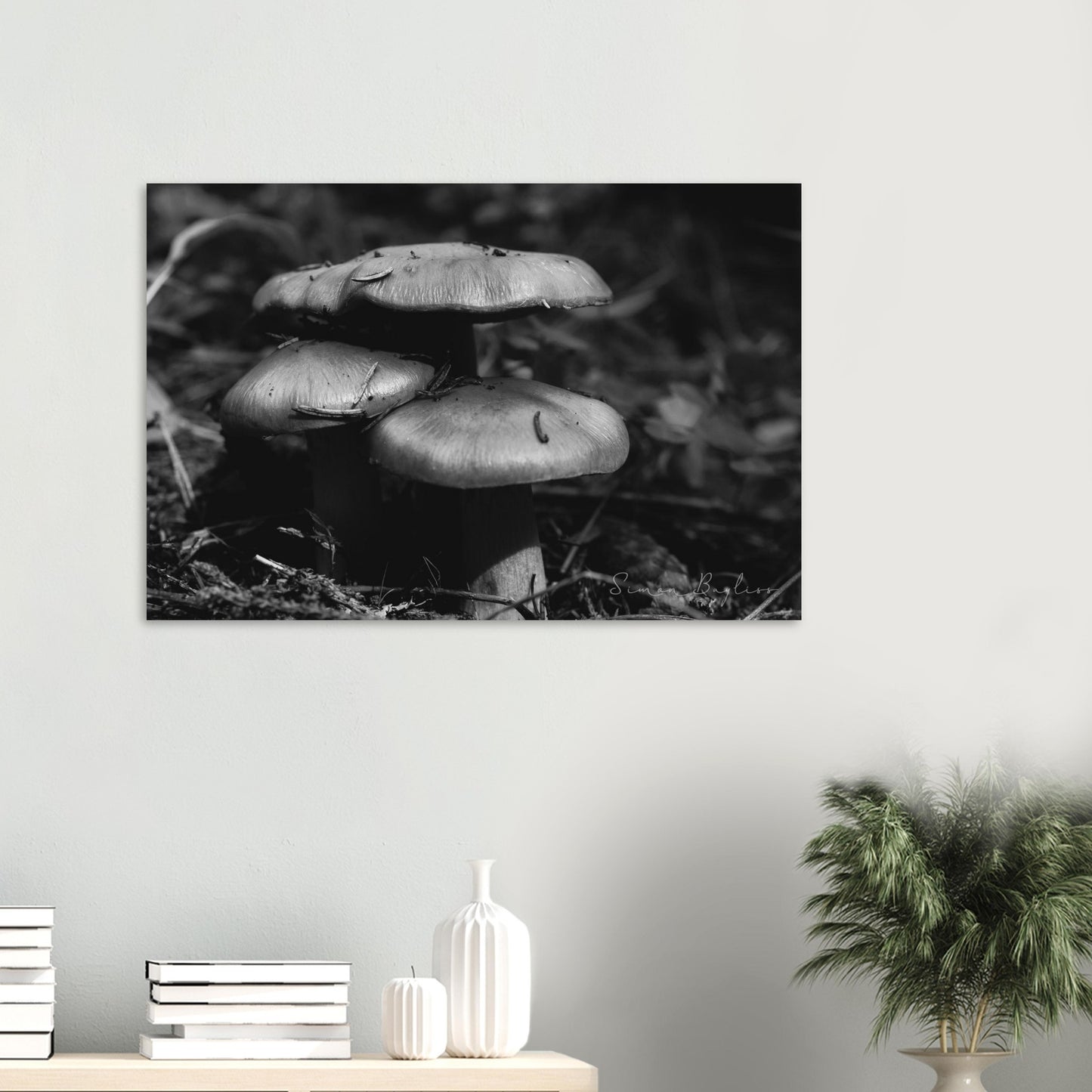 90757f23-00d0-4974-8f46-2e5fd7685c12