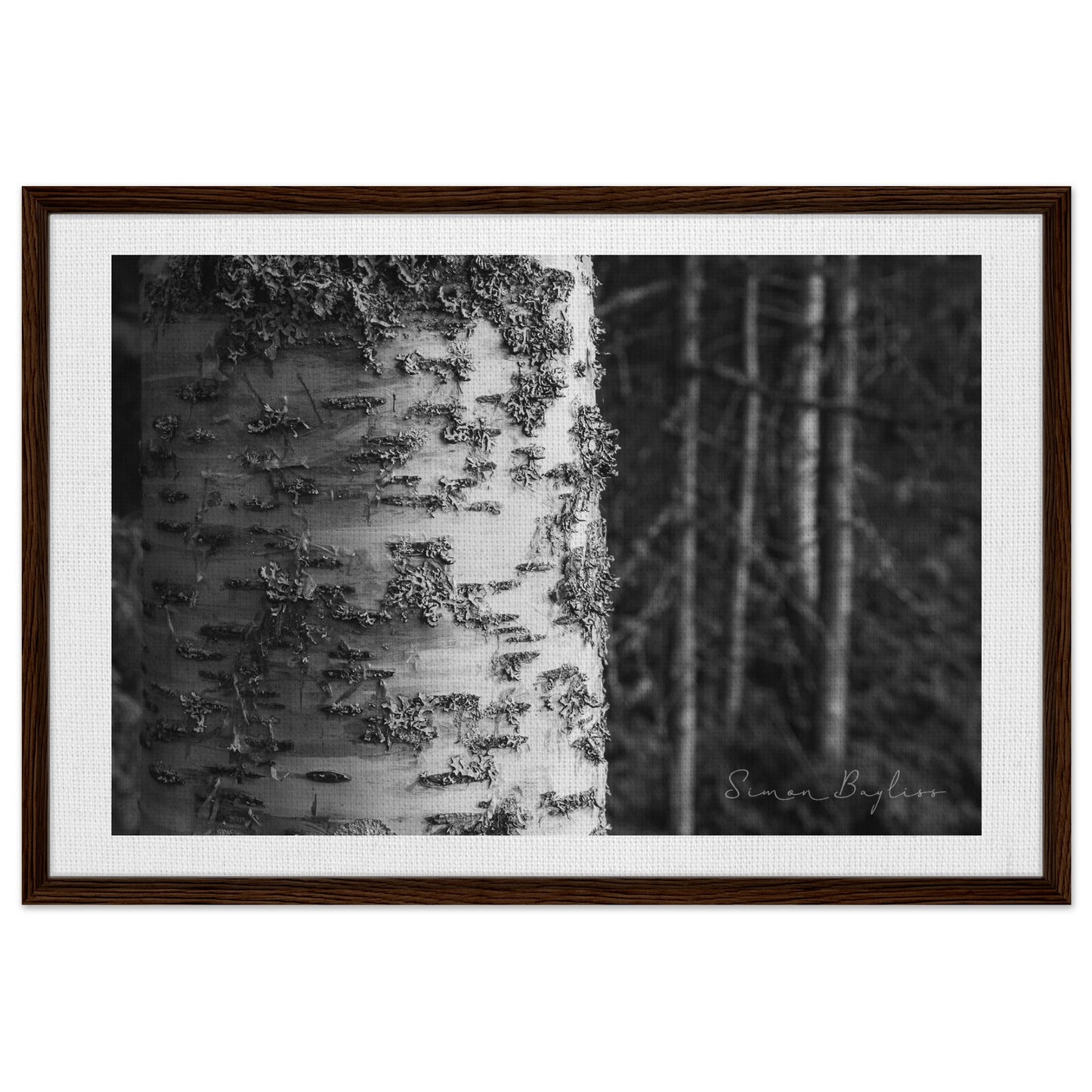 91112c27-6179-4121-b57a-5db926b8136c